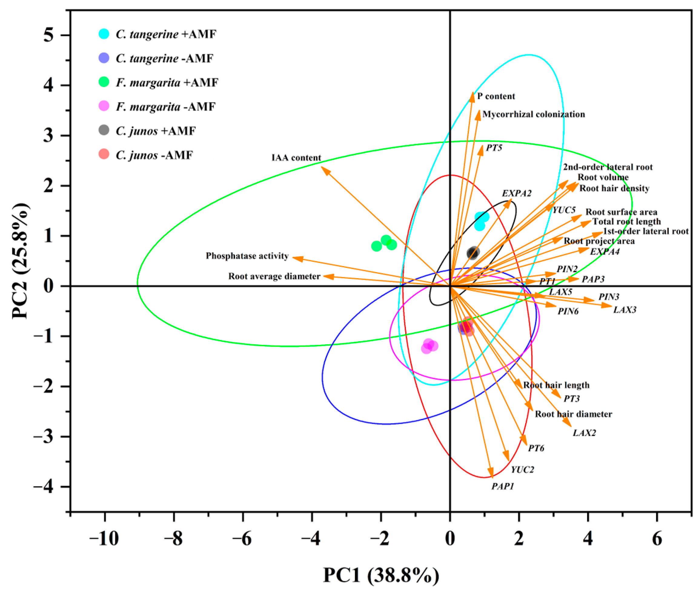 Horticulturae 10 00339 g008