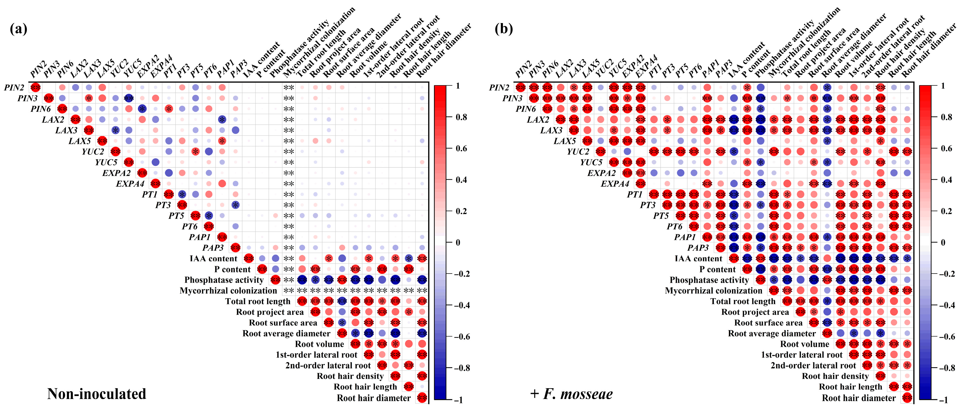 Horticulturae 10 00339 g009