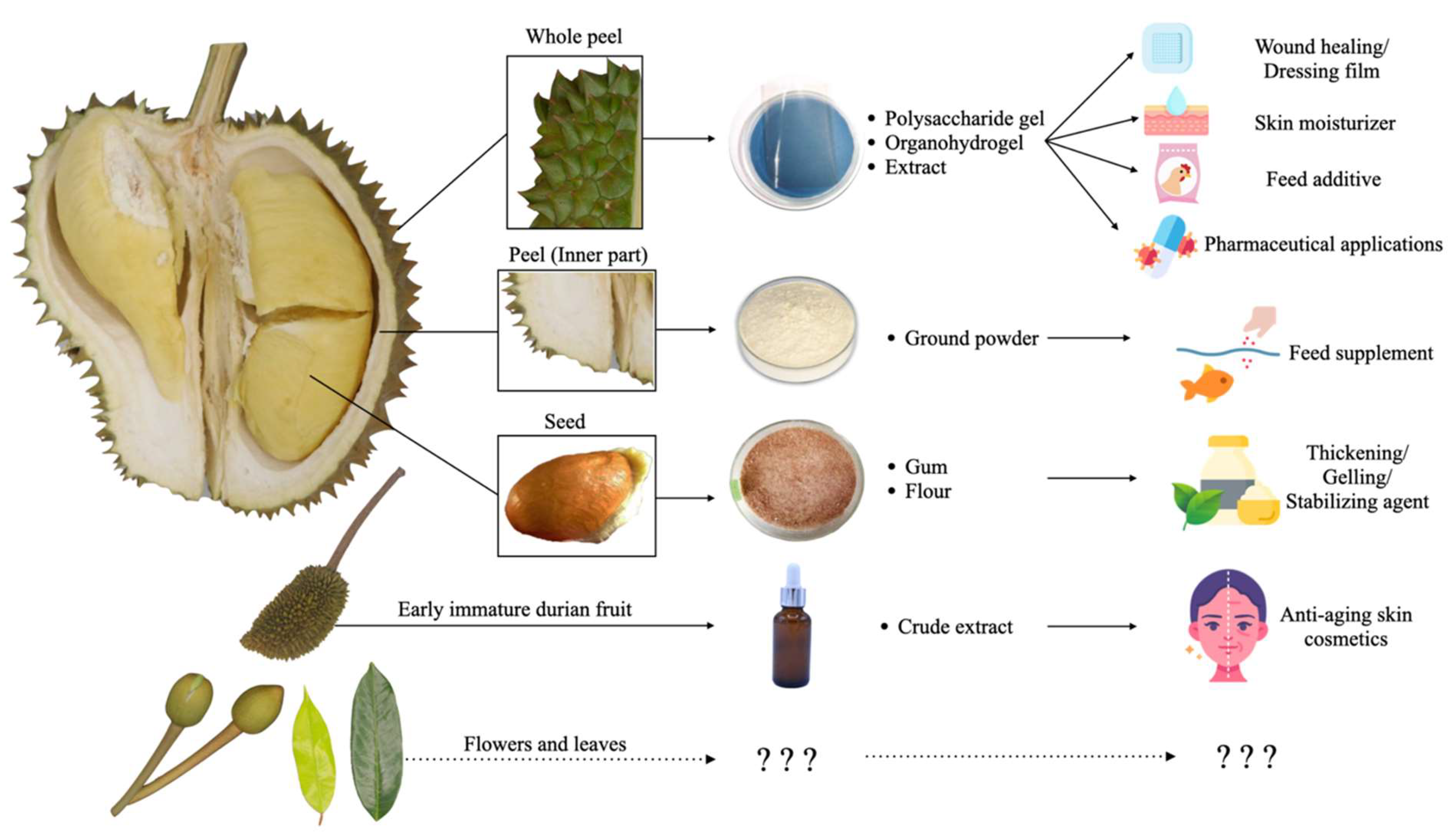 Horticulturae 10 00342 g002