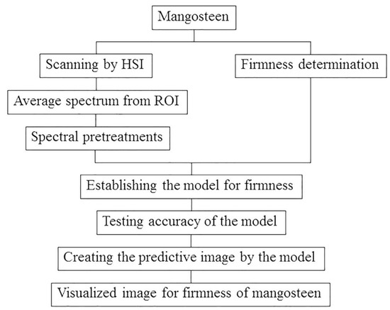 Horticulturae 10 00345 g003