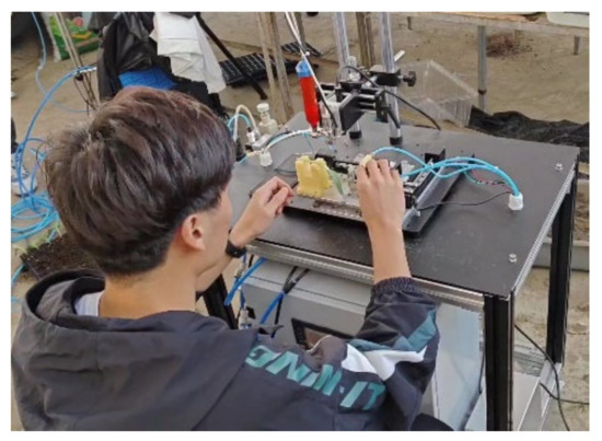 Horticulturae 10 00365 g0a5