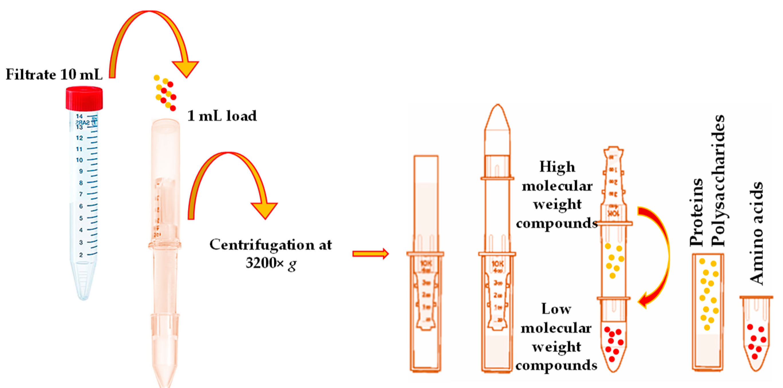 Horticulturae 10 00367 g001