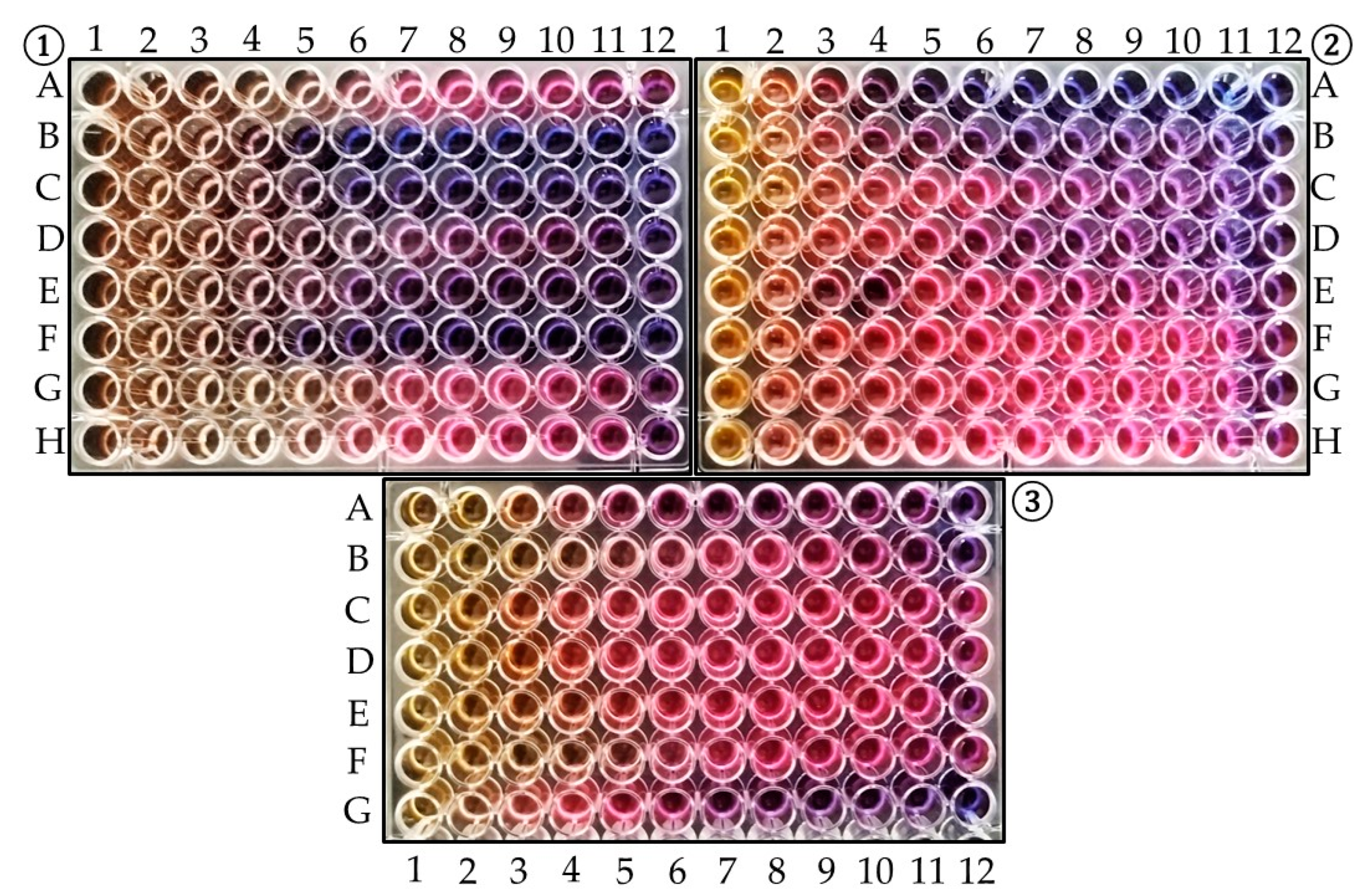 Horticulturae 10 00367 g004