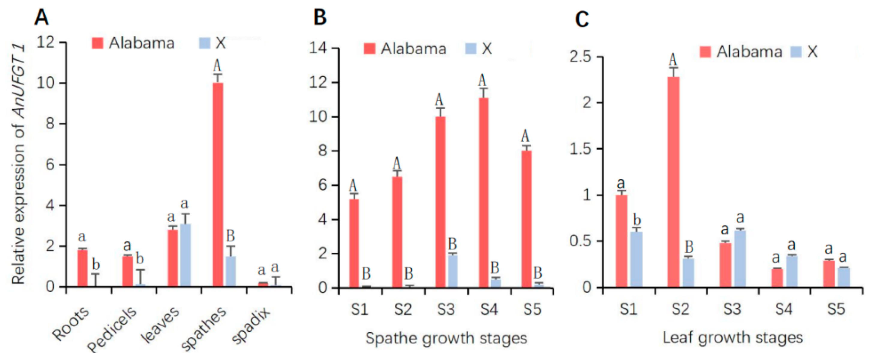 Horticulturae 10 00369 g002