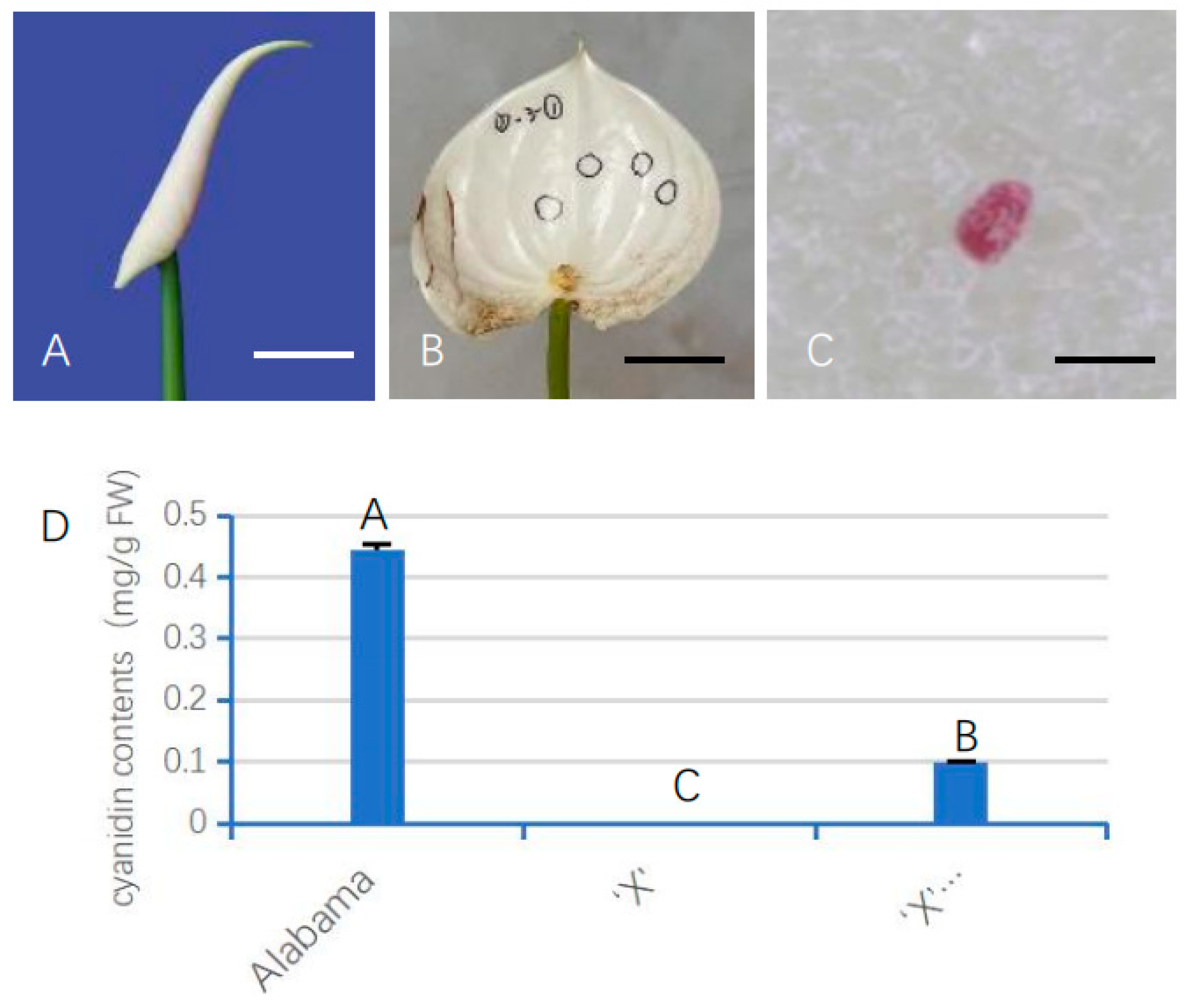Horticulturae 10 00369 g005