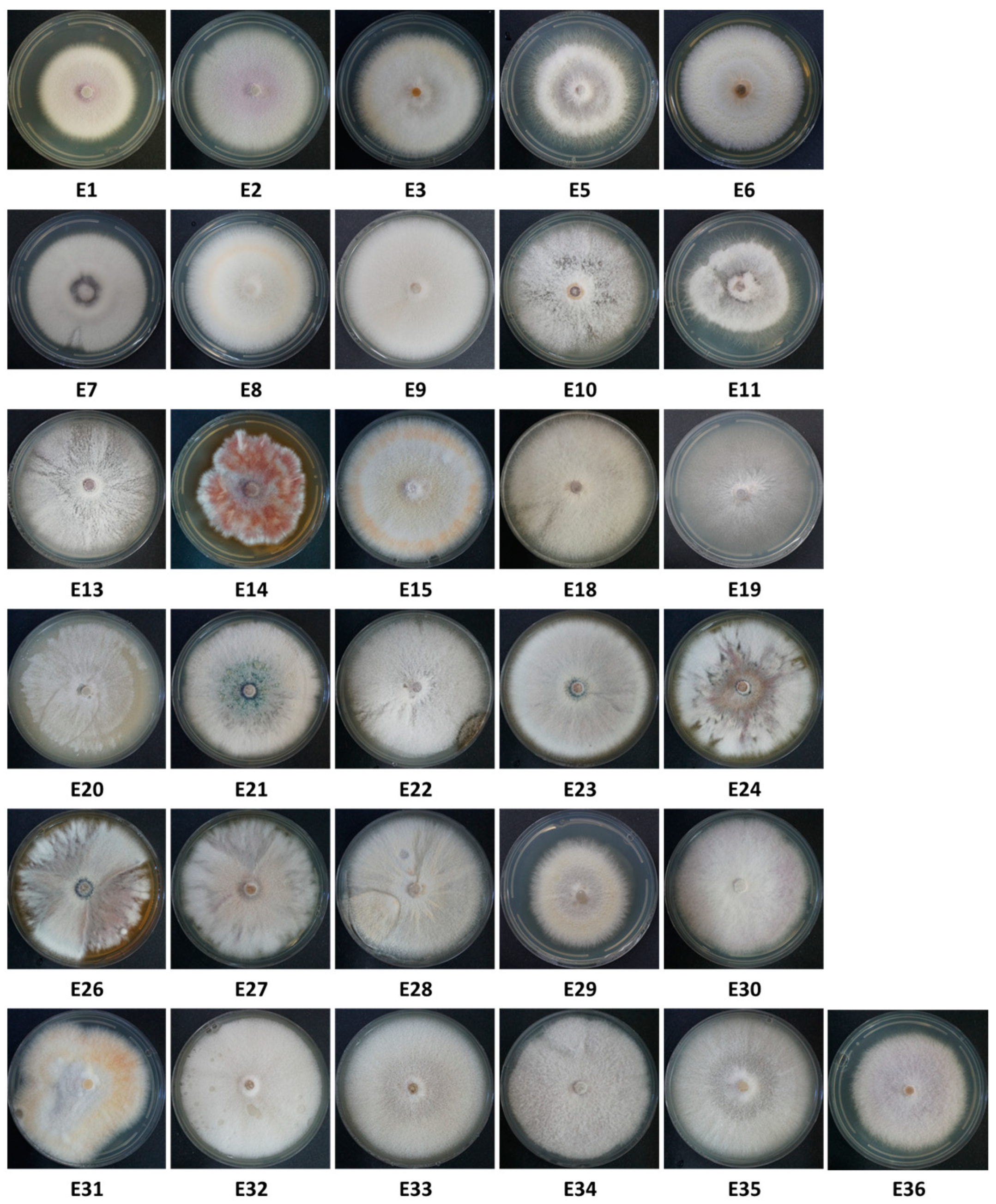 Horticulturae 10 00373 g003