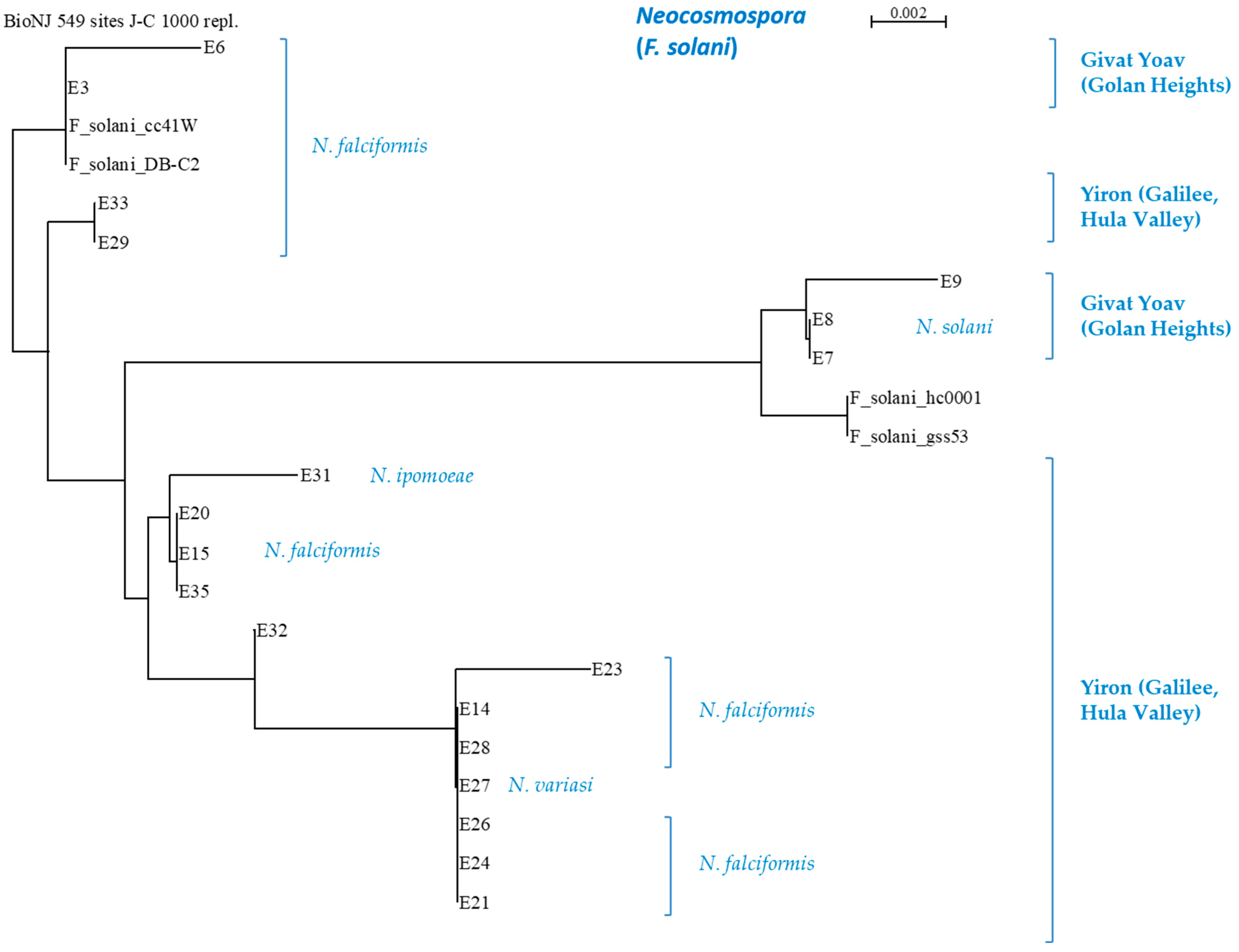 Horticulturae 10 00373 g007