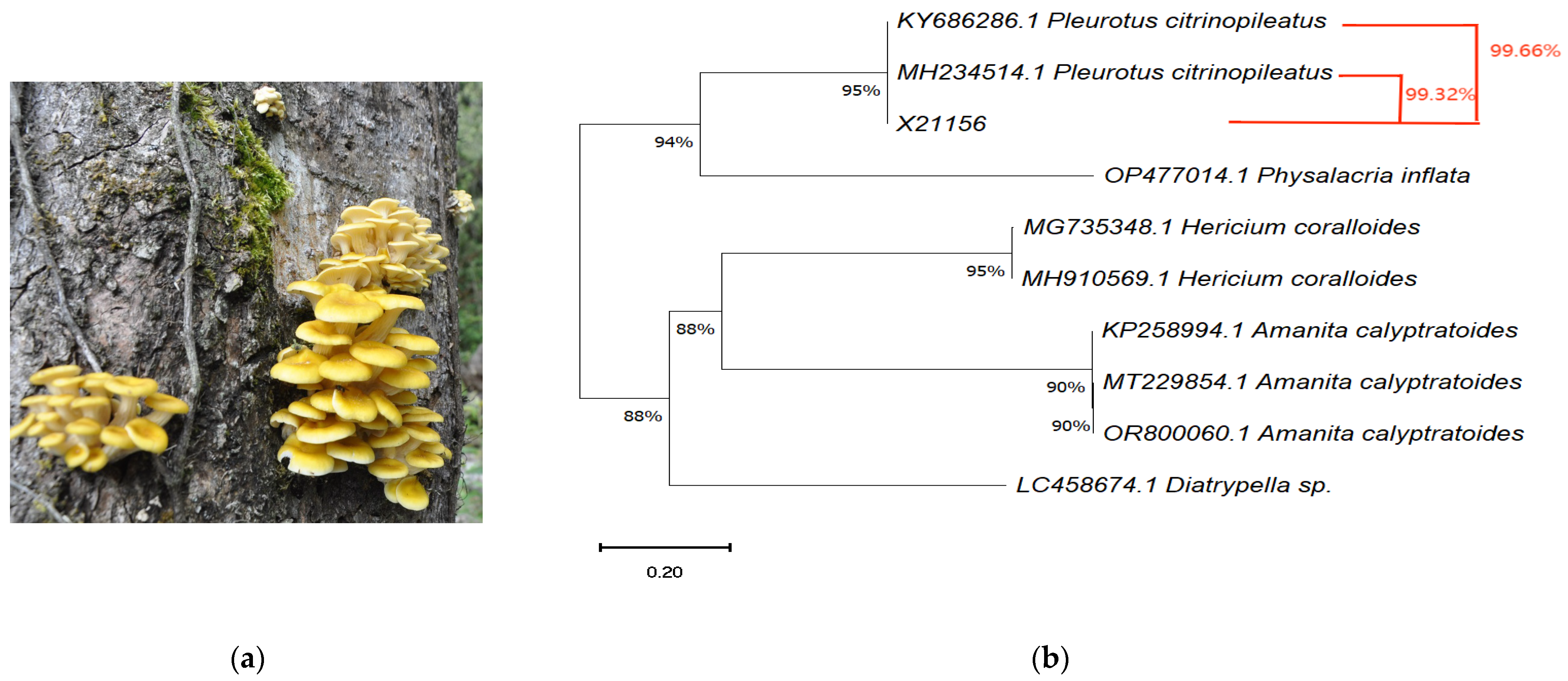 Horticulturae 10 00377 g001
