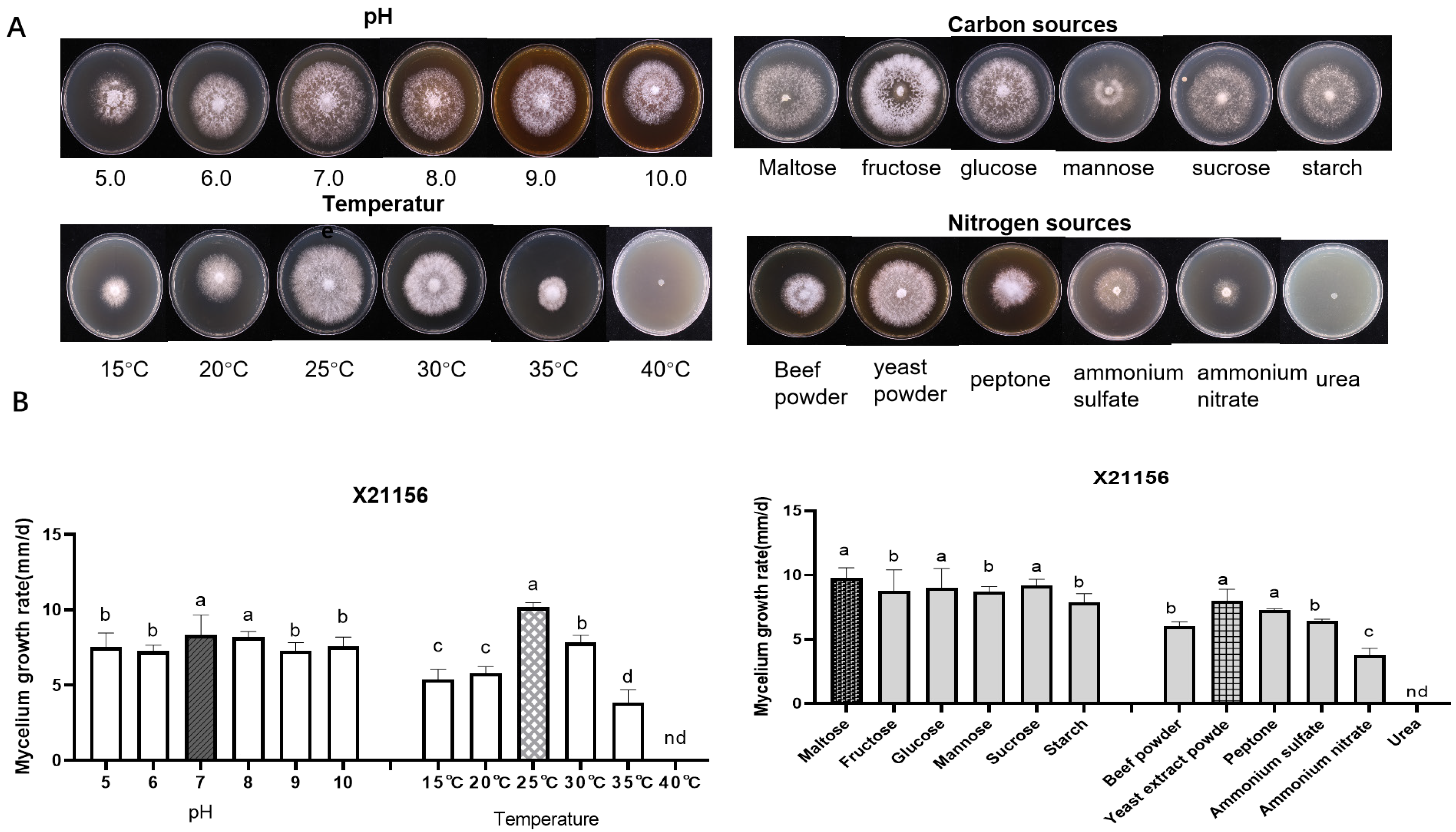 Horticulturae 10 00377 g002
