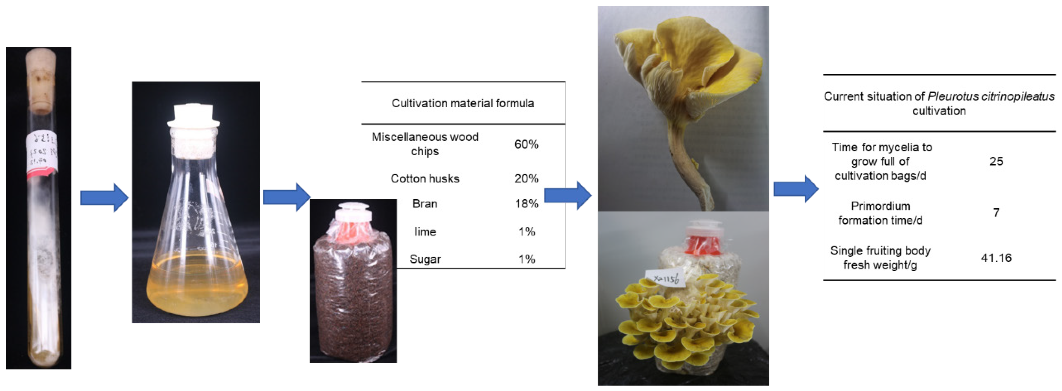 Horticulturae 10 00377 g003