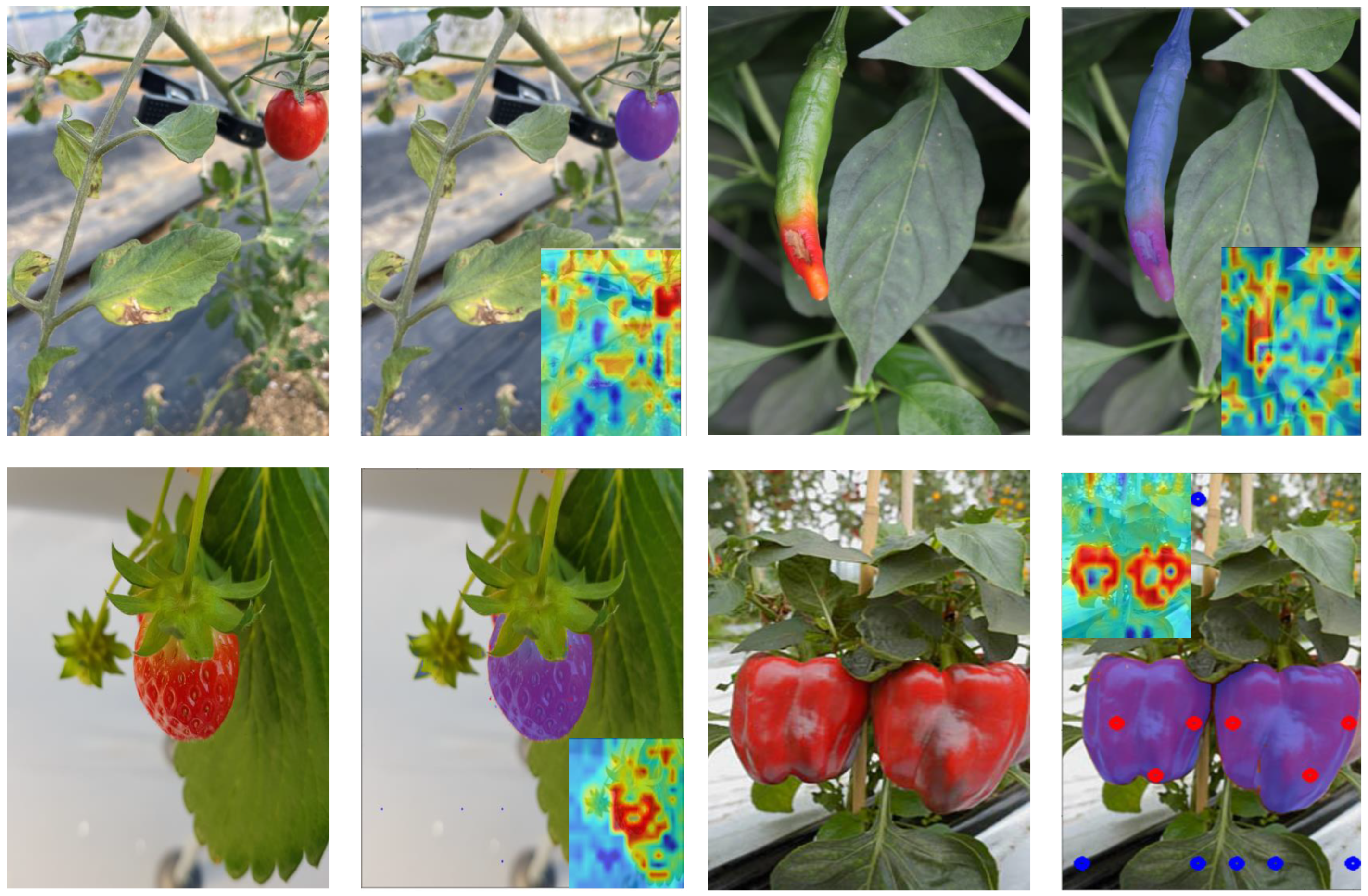 Horticulturae 10 00398 g010 Horticulturae 10 00398 g010