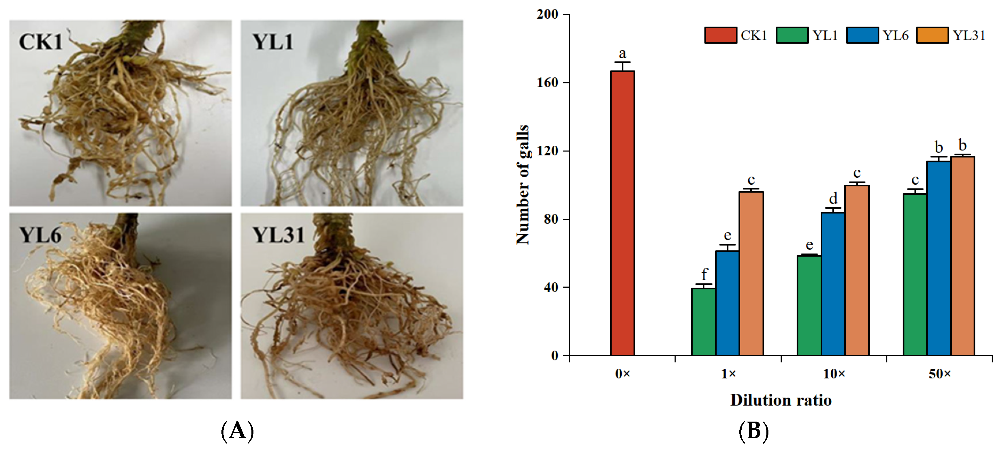 Horticulturae 10 00407 g003a