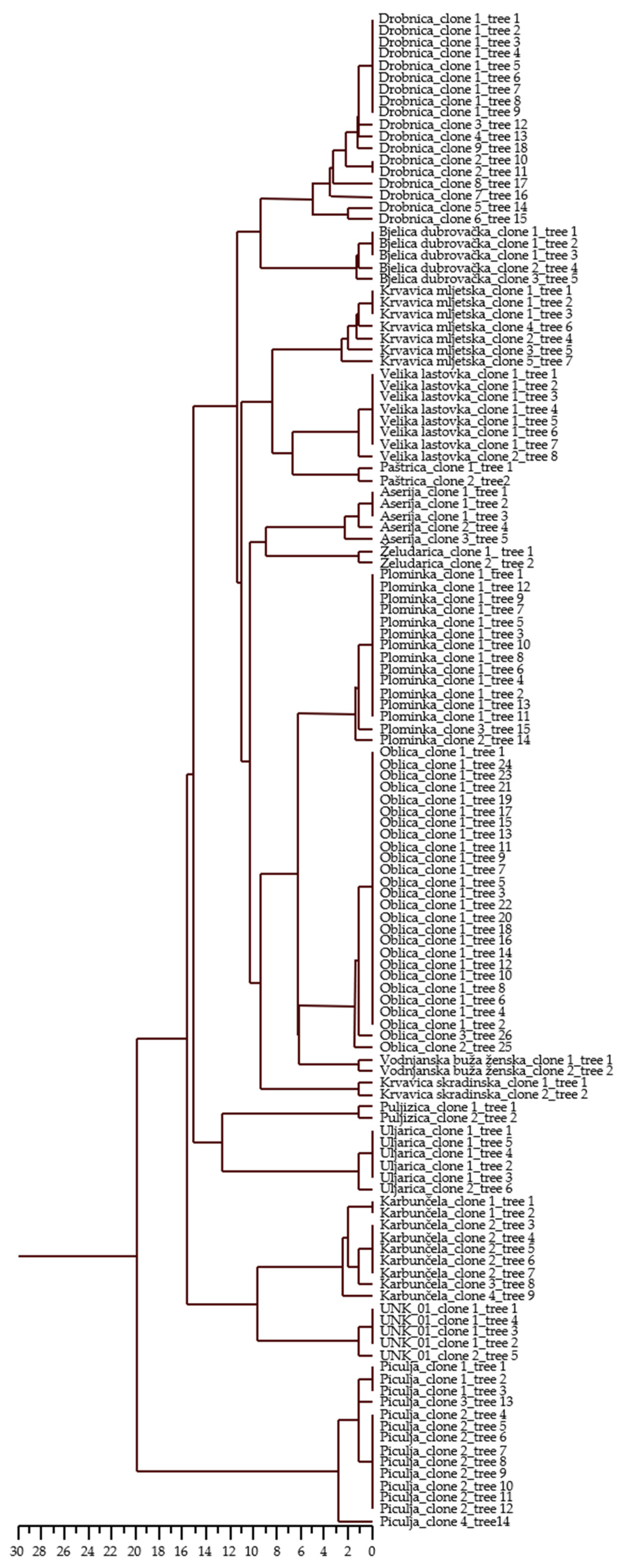 Horticulturae 10 00417 g001