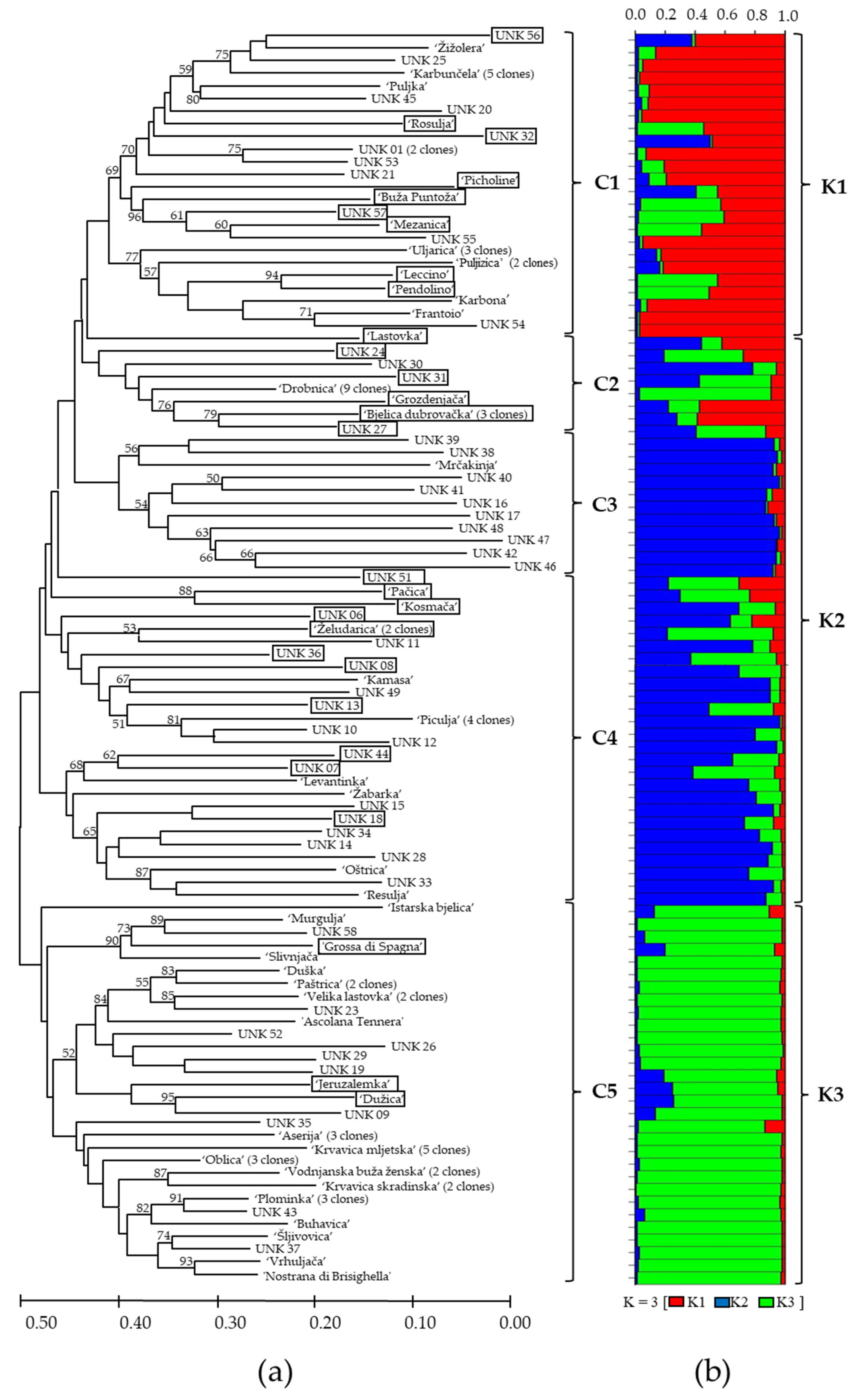 Horticulturae 10 00417 g002