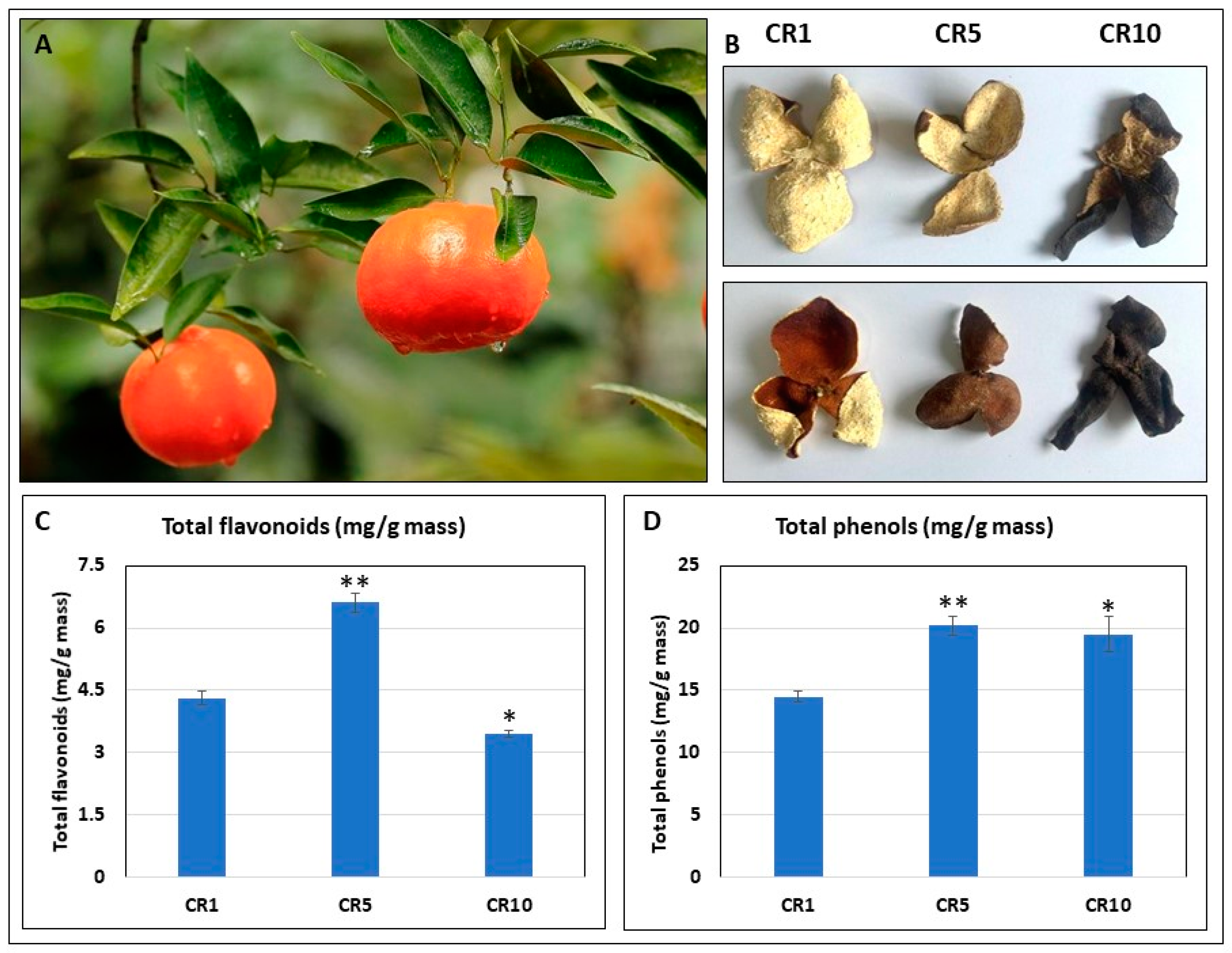 Horticulturae 10 00421 g001