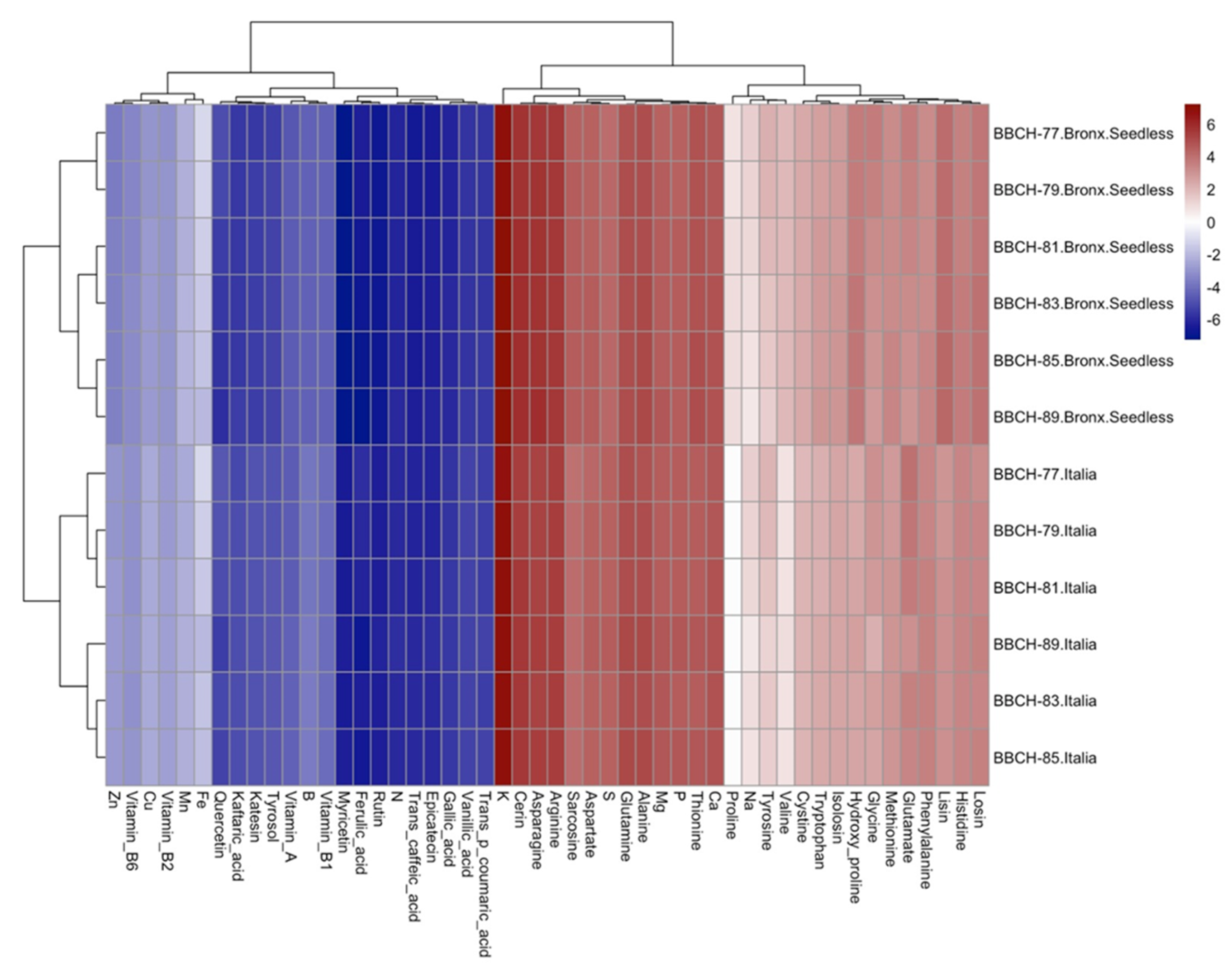 Horticulturae 10 00429 g002