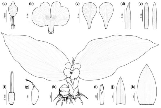 Horticulturae 10 00430 g007