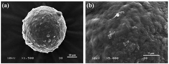 Horticulturae 10 00430 g009