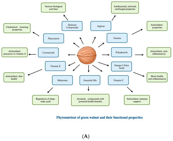 Horticulturae 10 00433 g002a
