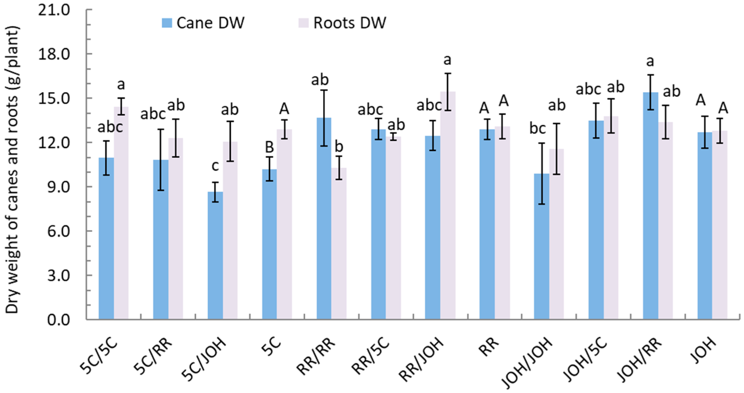 Horticulturae 10 00445 g002