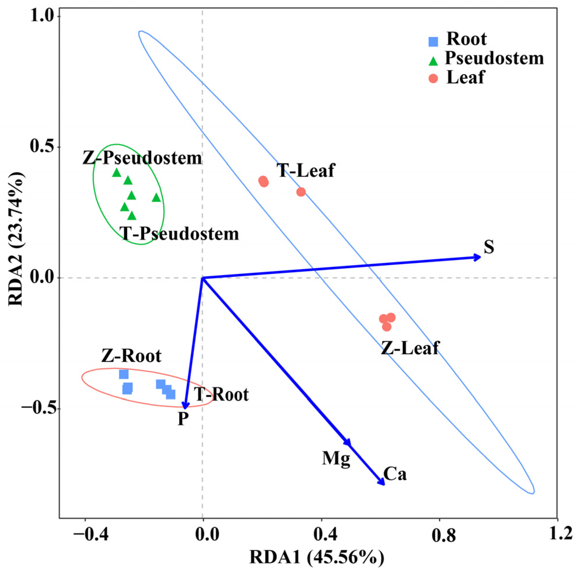 Horticulturae 10 00446 g004