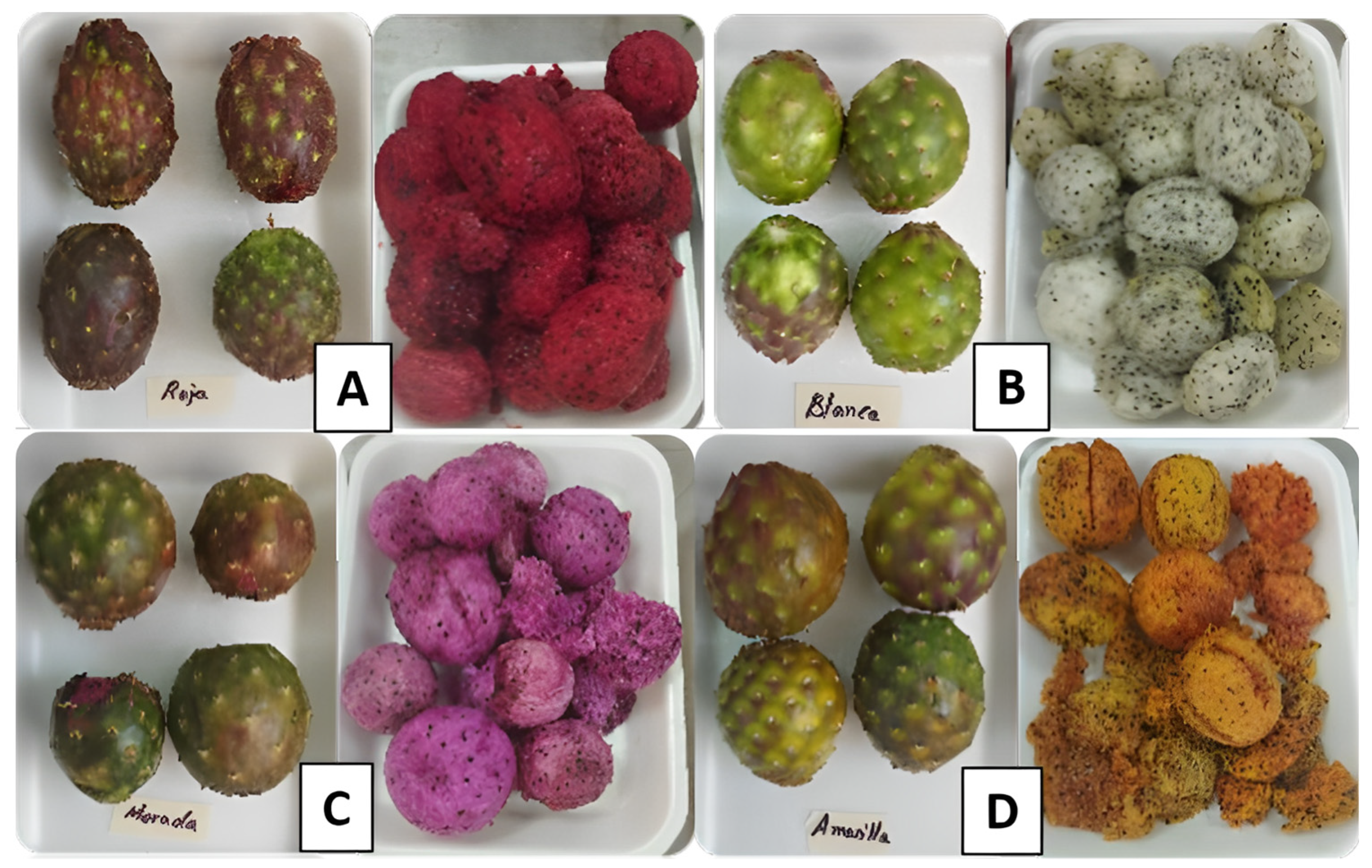 Horticulturae 10 00451 g001