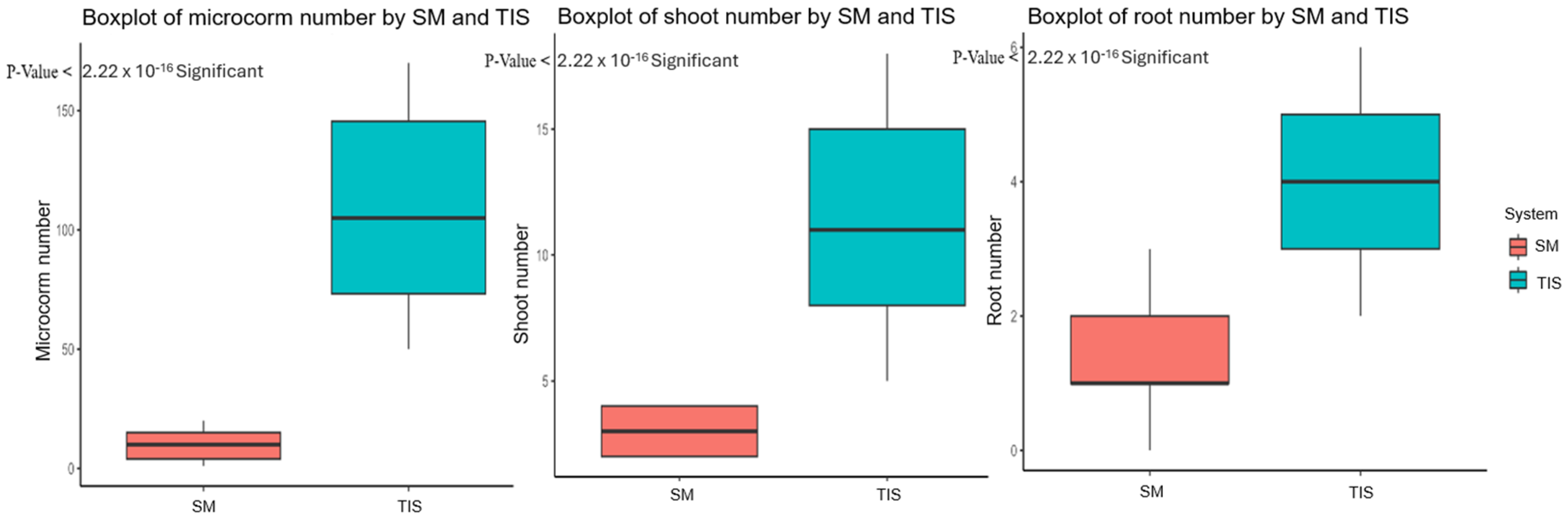 Horticulturae 10 00454 g002