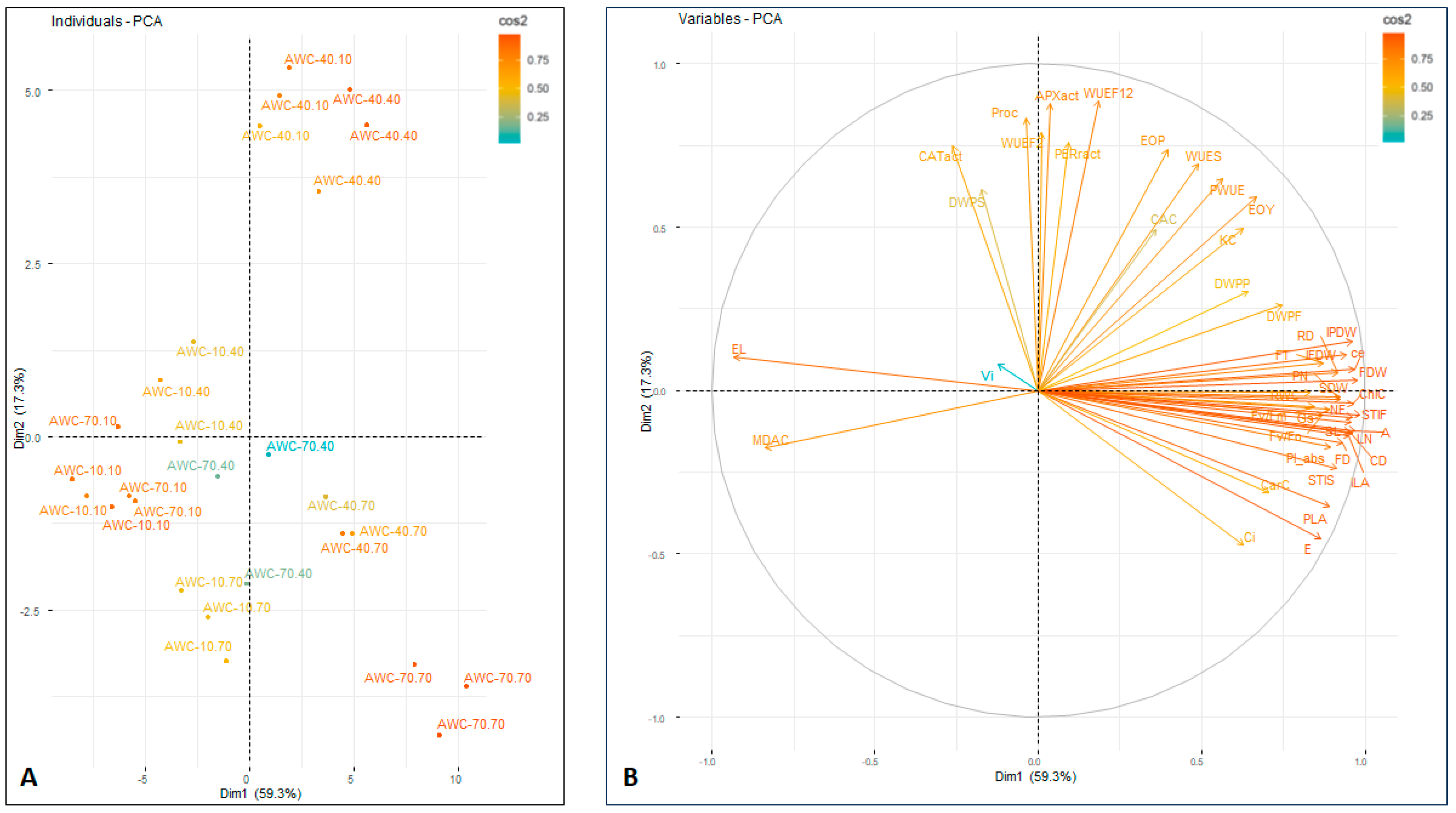 Horticulturae 10 00462 g003
