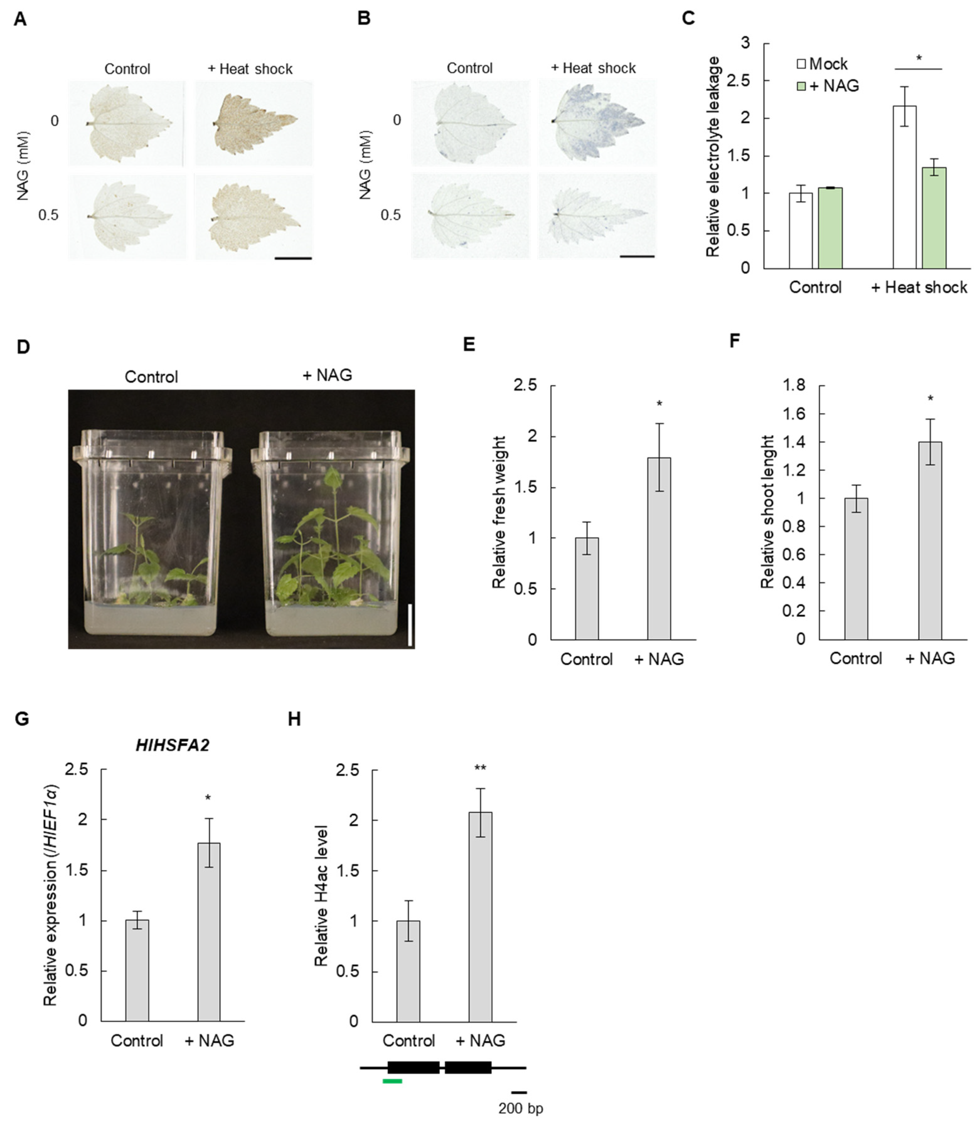 Horticulturae 10 00484 g003