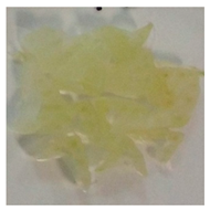 Horticulturae 10 00500 i002