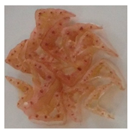 Horticulturae 10 00500 i005