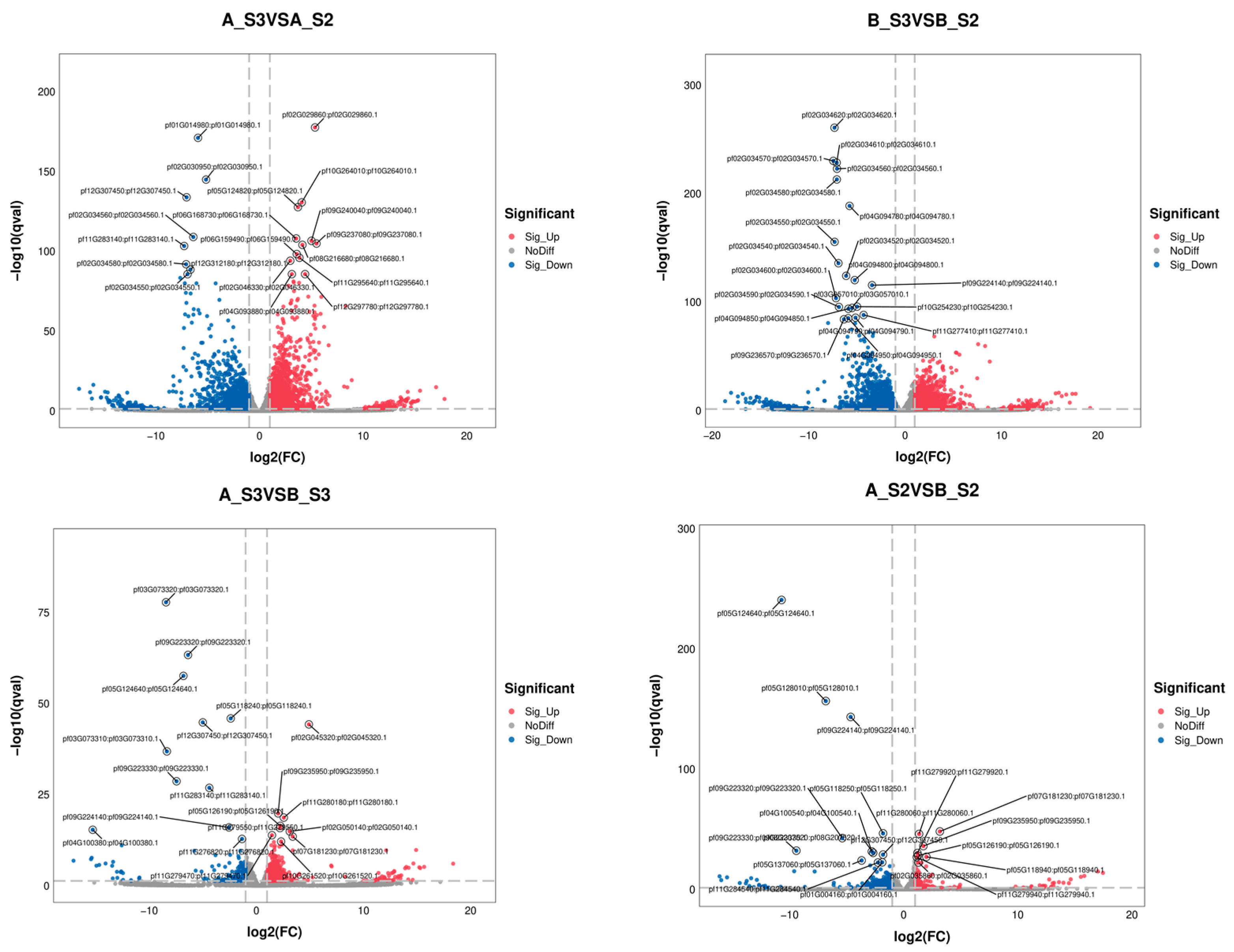 Horticulturae 10 00507 g004