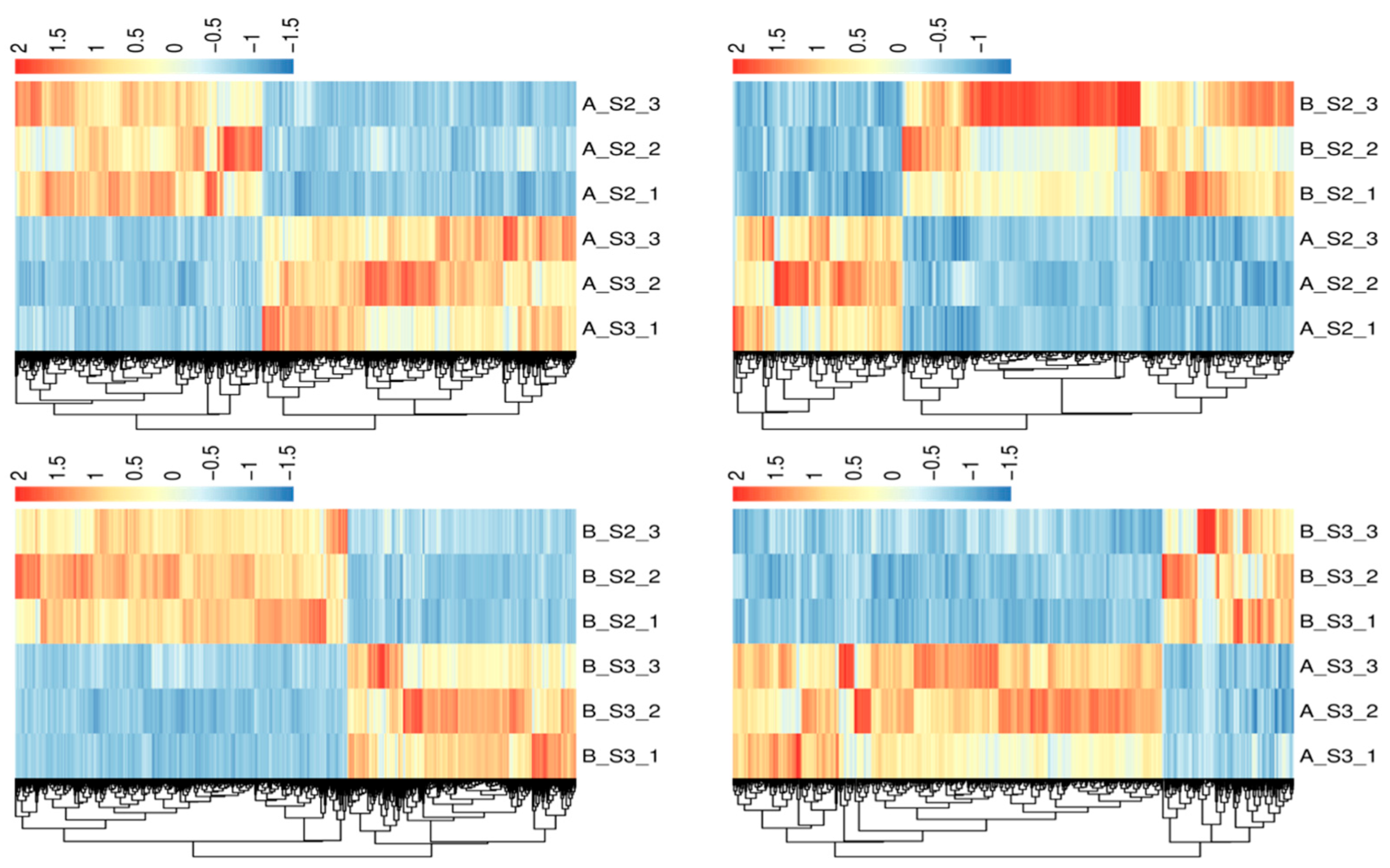 Horticulturae 10 00507 g005