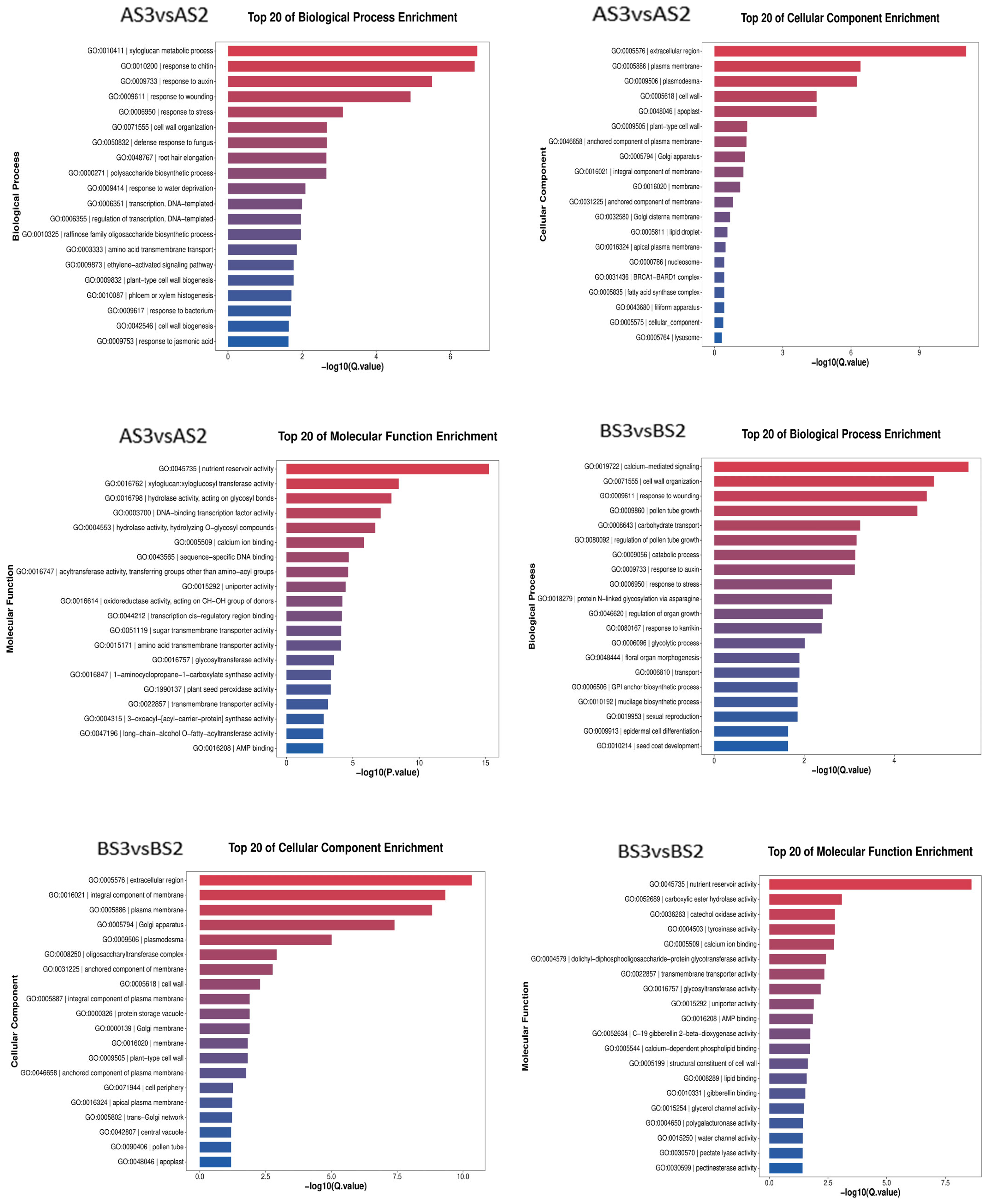 Horticulturae 10 00507 g006a
