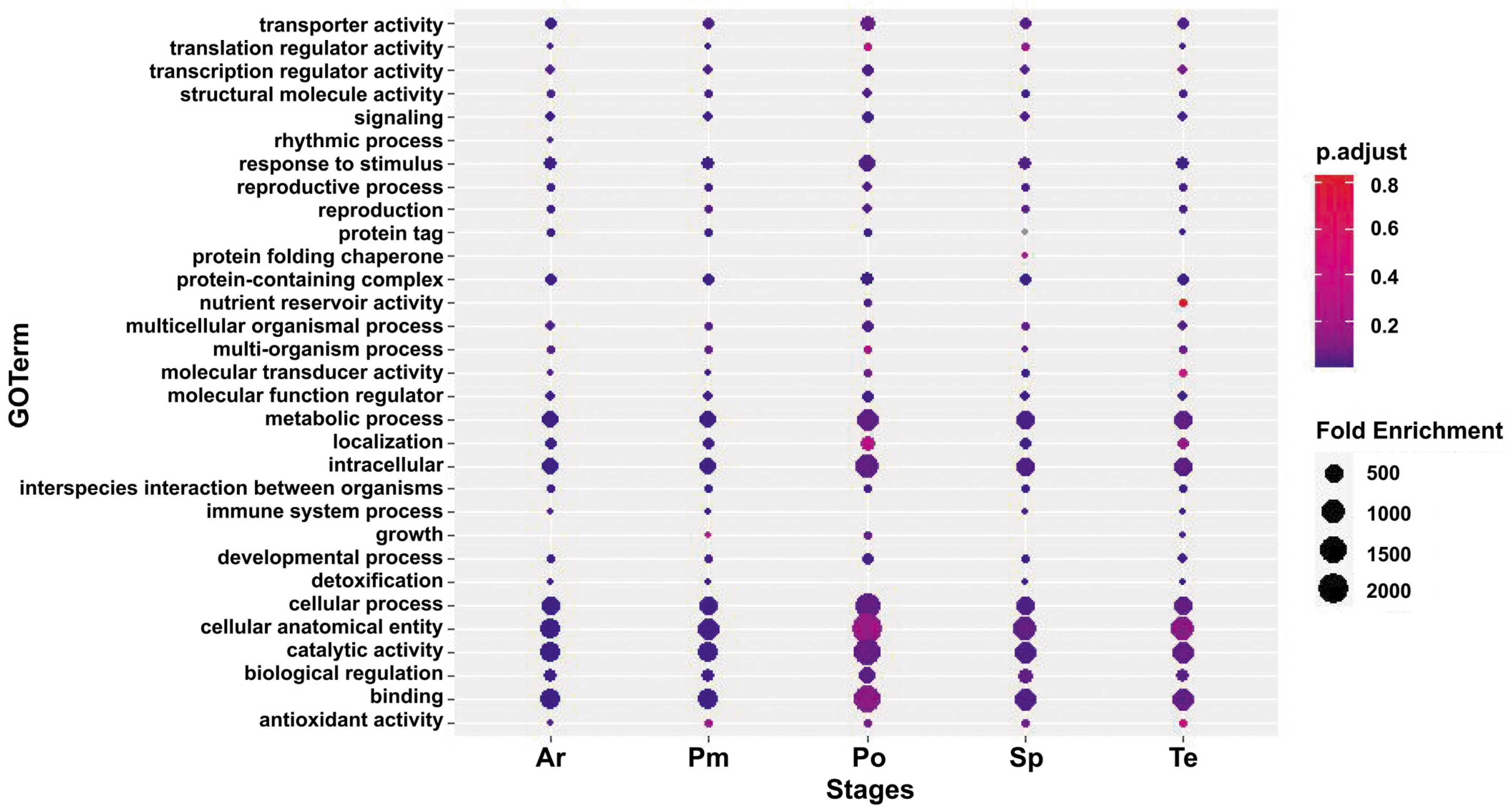 Horticulturae 10 00512 g002 Horticulturae 10 00512 g002