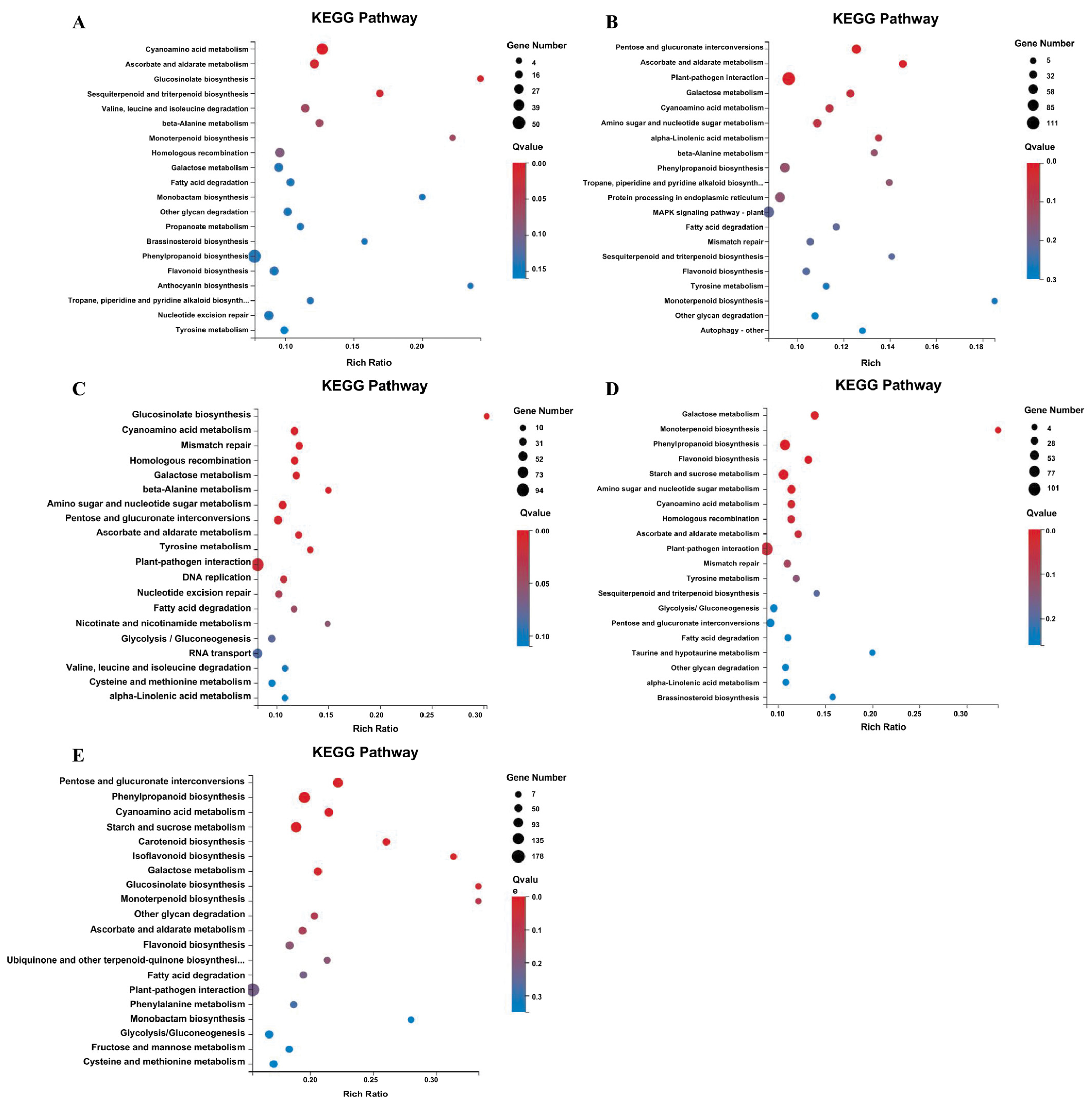 Horticulturae 10 00512 g003 Horticulturae 10 00512 g003