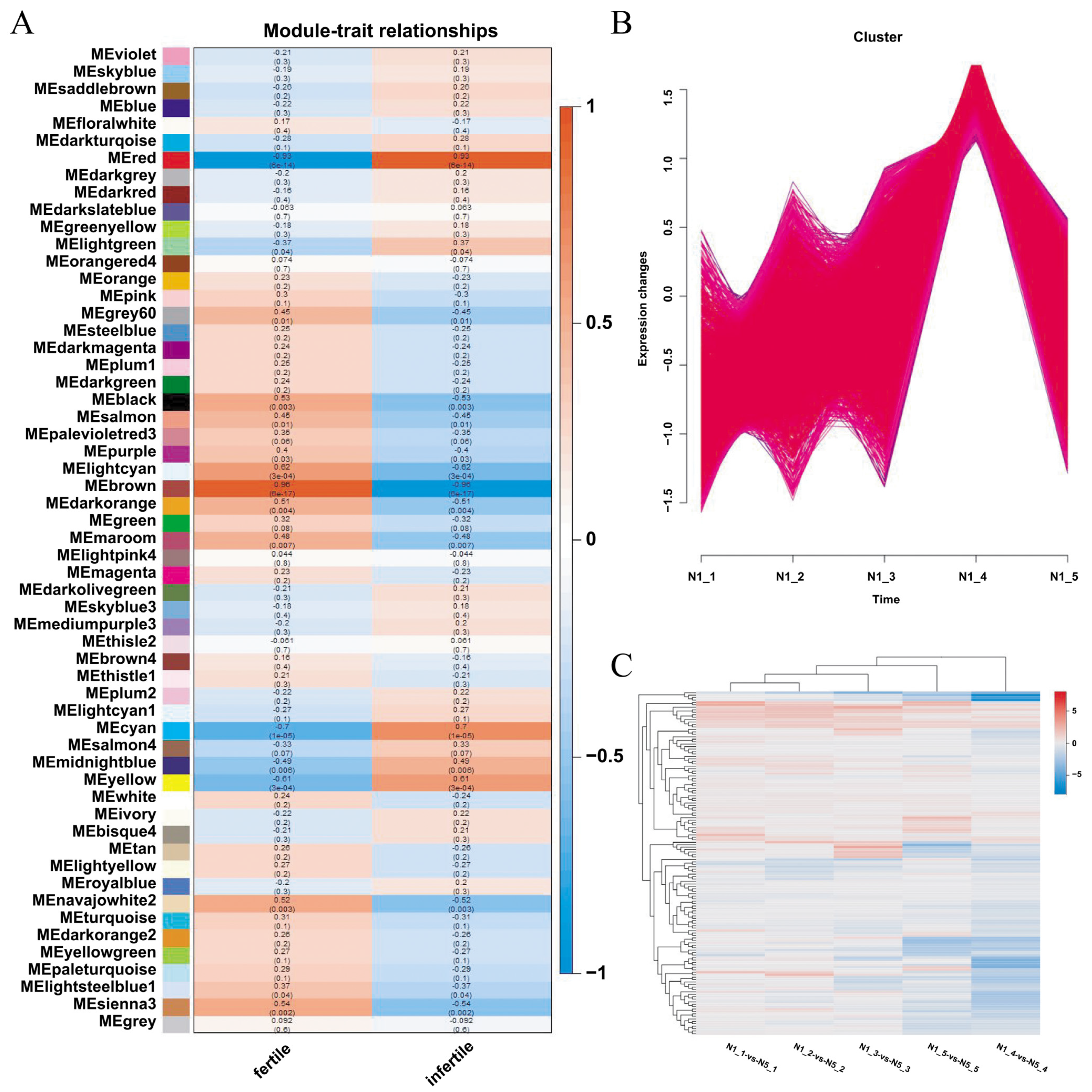 Horticulturae 10 00512 g005 Horticulturae 10 00512 g005