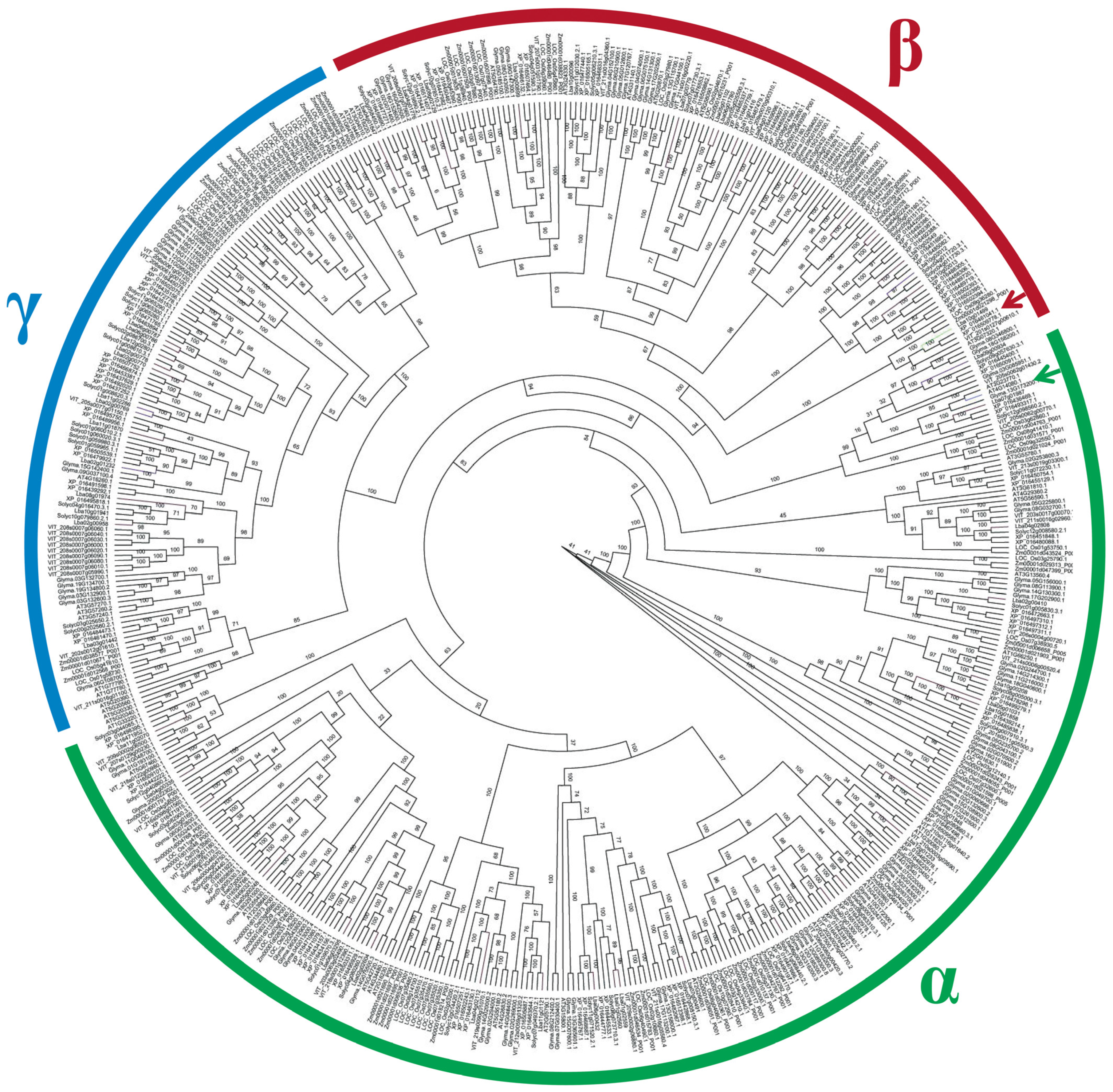 Horticulturae 10 00512 g006 Horticulturae 10 00512 g006
