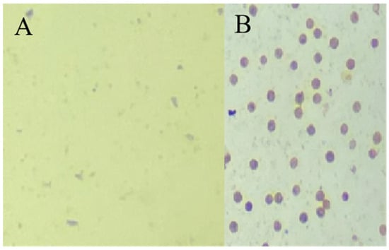 Horticulturae 10 00512 g0a1
