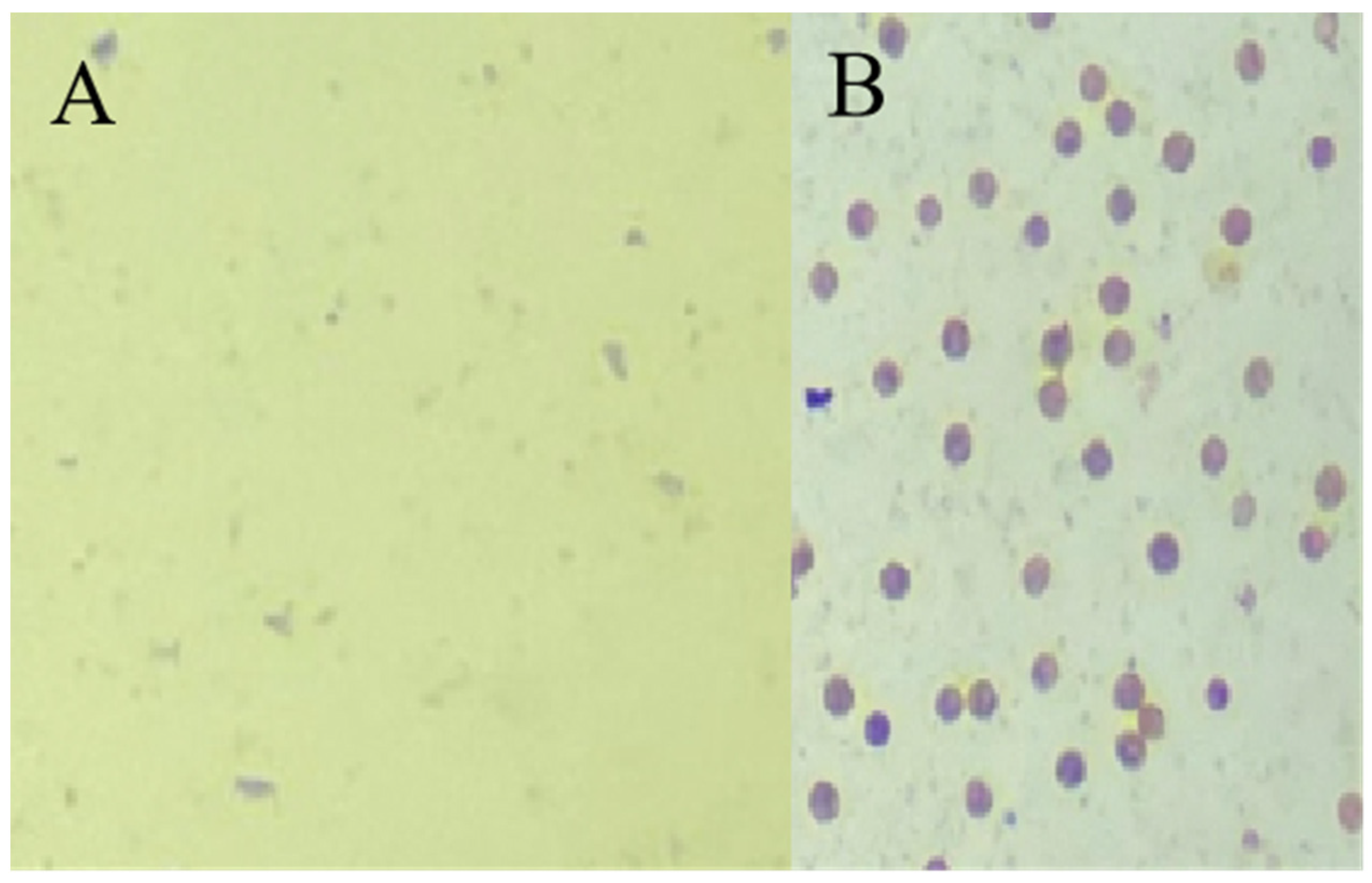 Horticulturae 10 00512 g0a1 Horticulturae 10 00512 g0a1