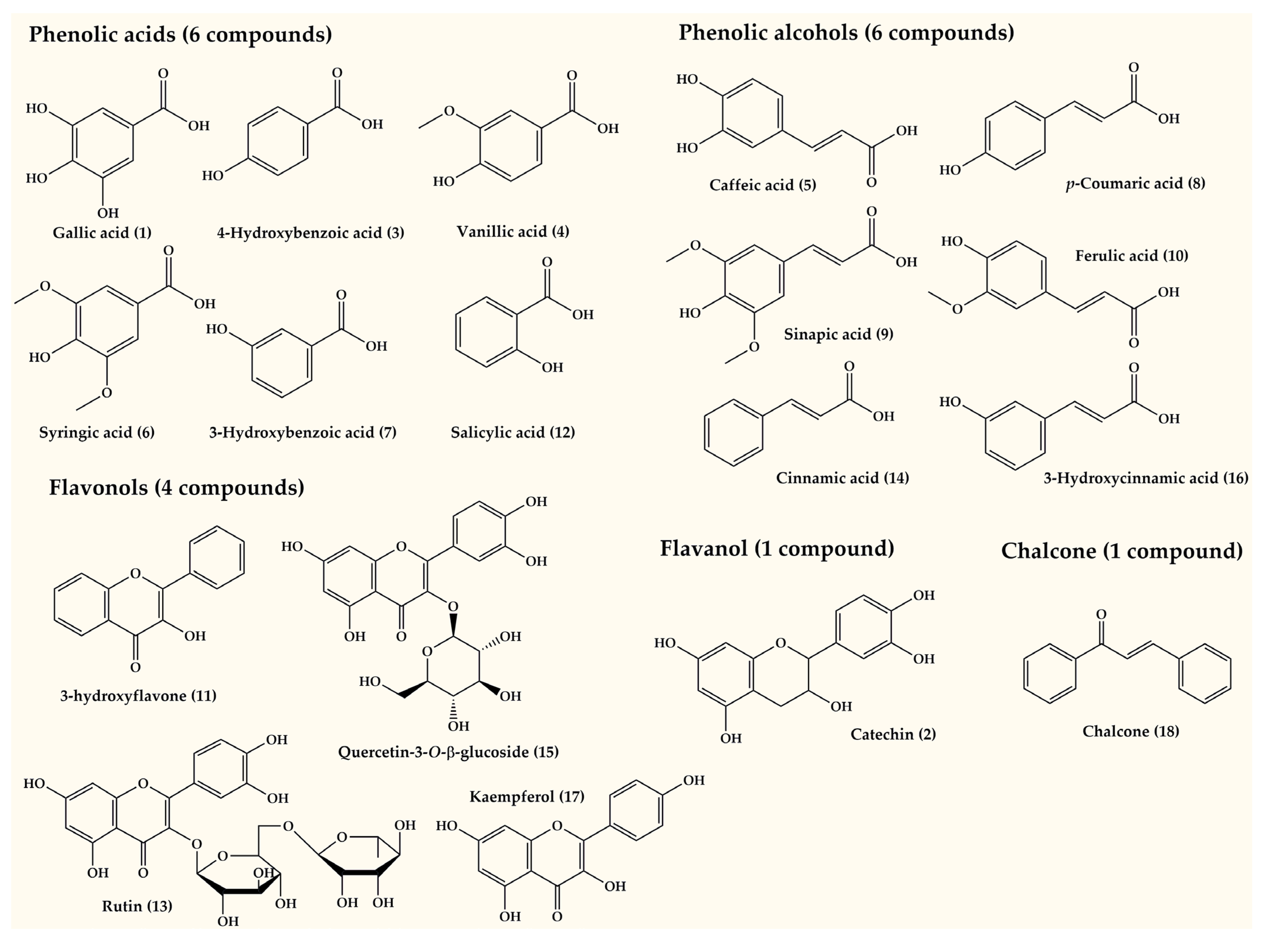 Horticulturae 10 00521 g003