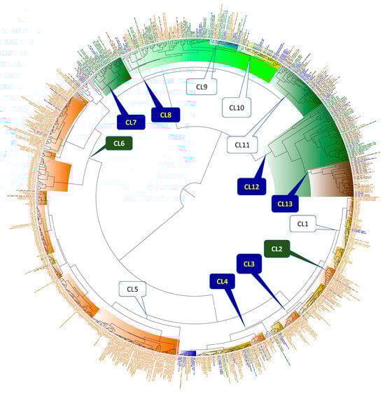 Horticulturae 10 00530 g002