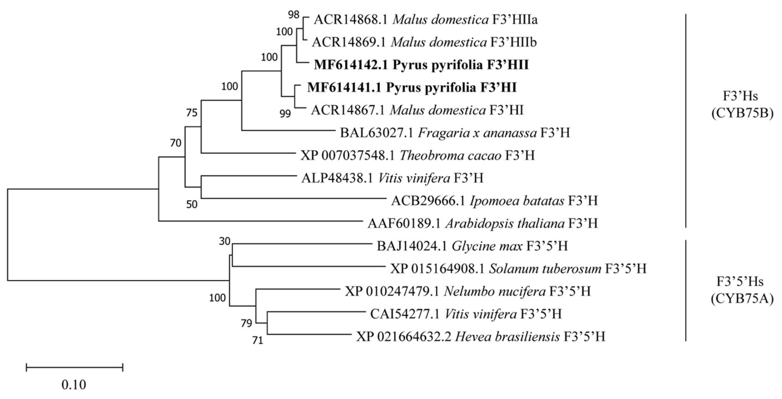 Horticulturae 10 00535 g002