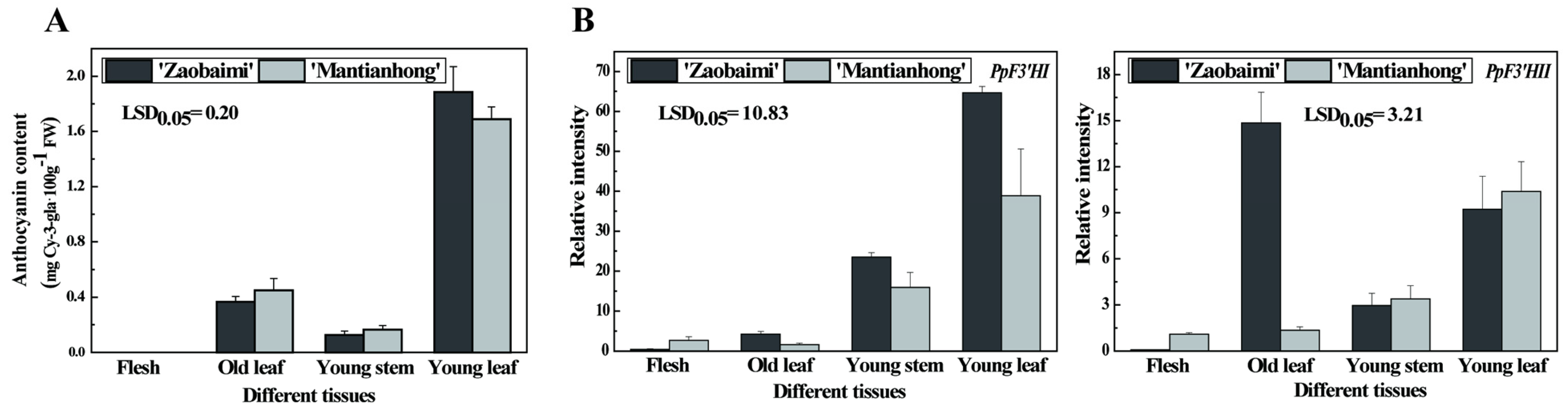 Horticulturae 10 00535 g003