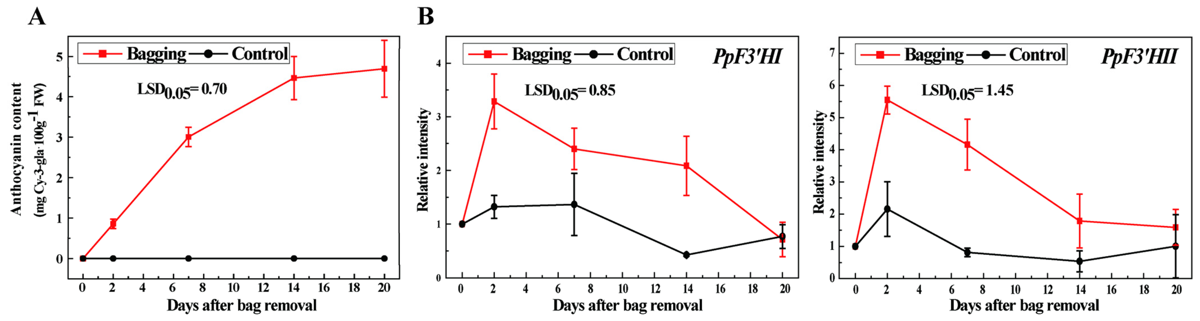 Horticulturae 10 00535 g005