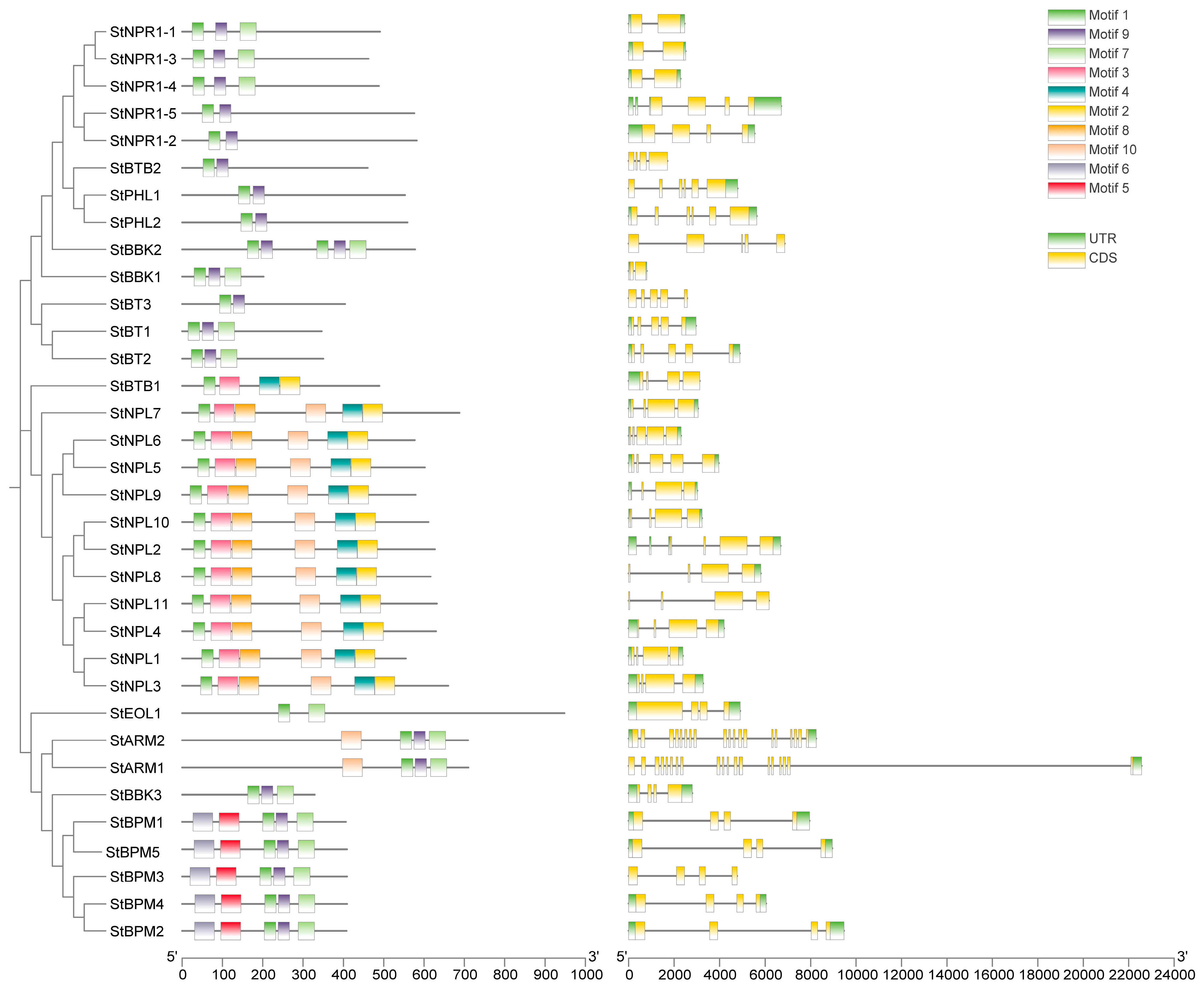 Horticulturae 10 00543 g002