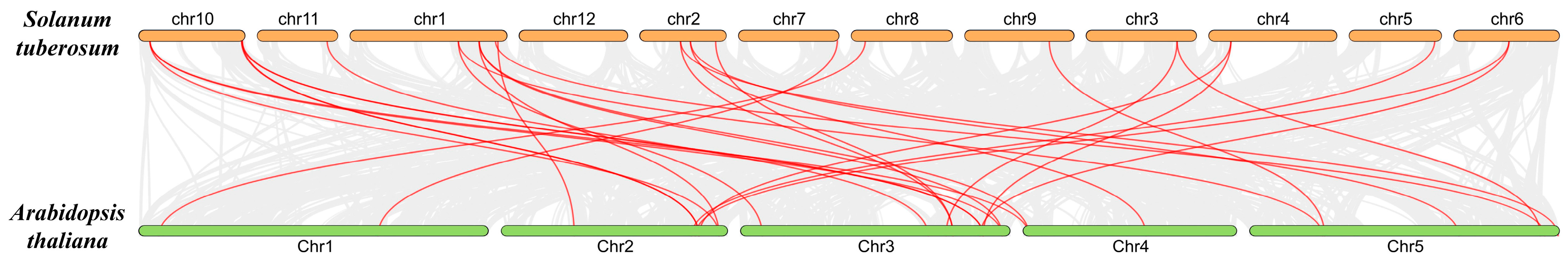 Horticulturae 10 00543 g006