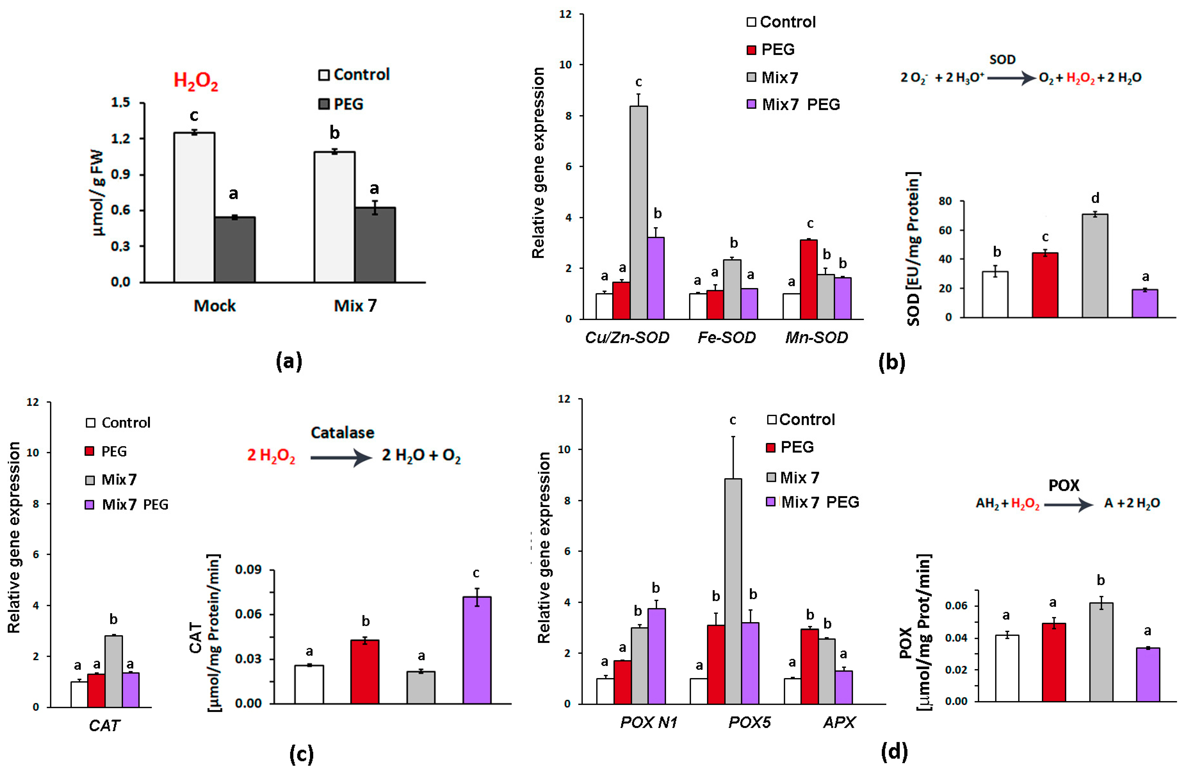 Horticulturae 10 00544 g003
