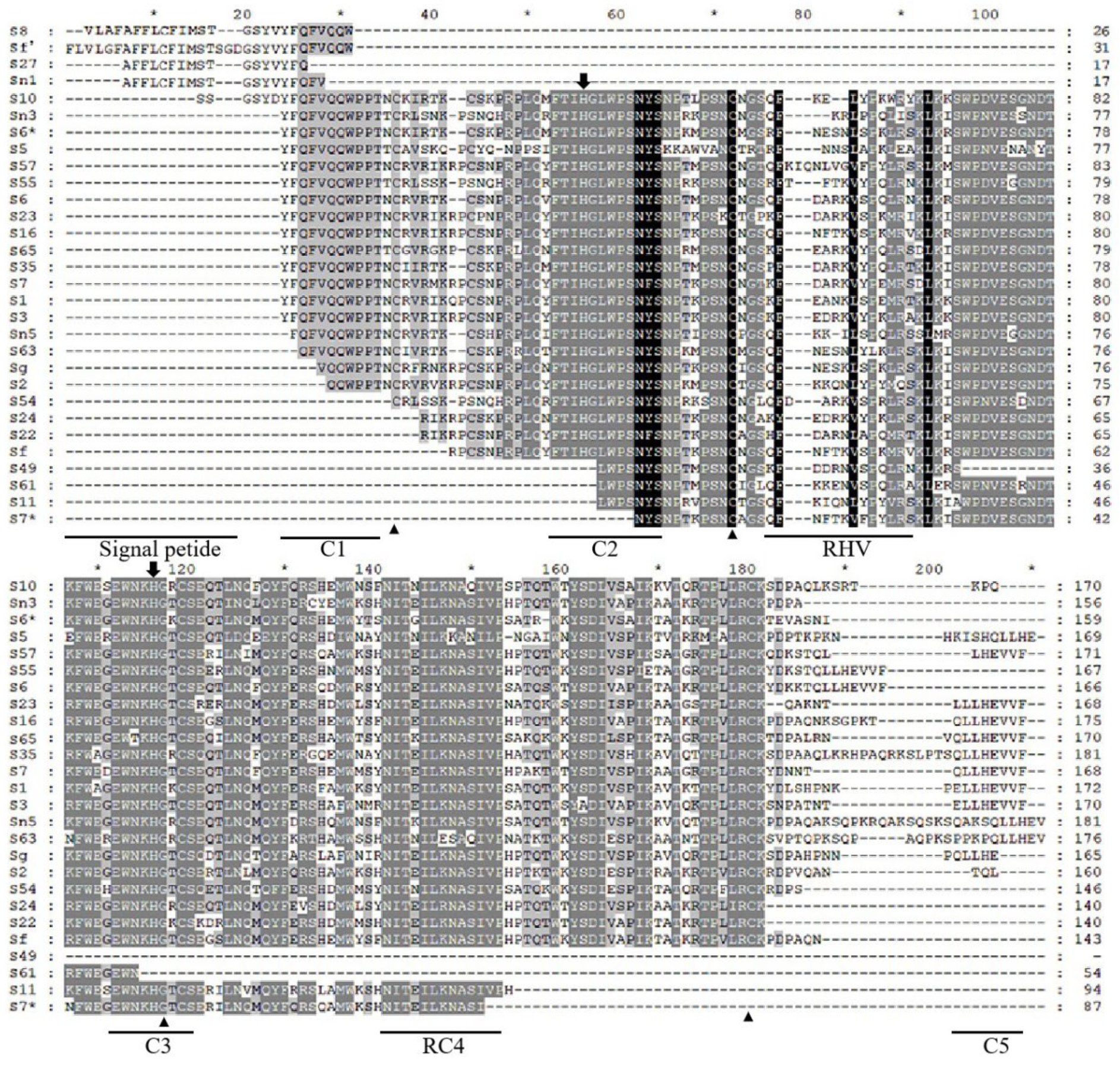 Horticulturae 10 00545 g002