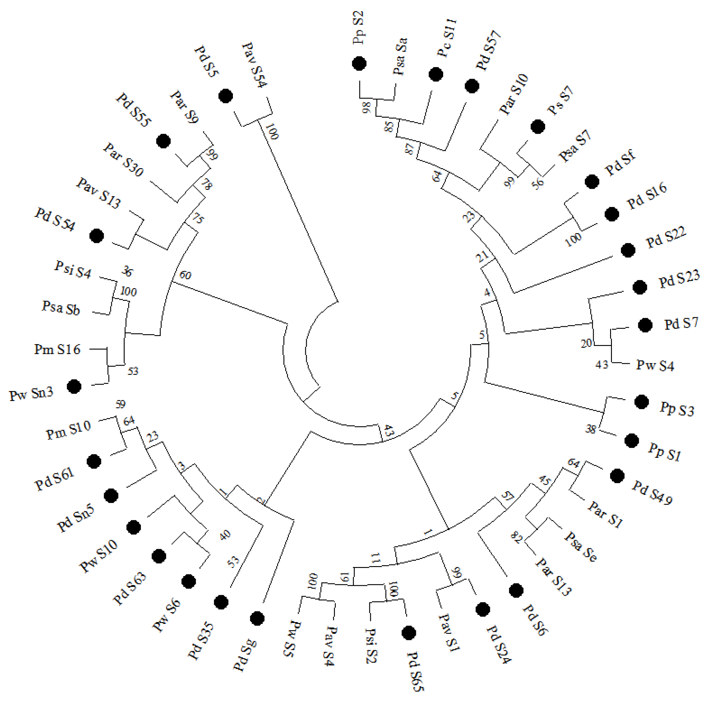 Horticulturae 10 00545 g003
